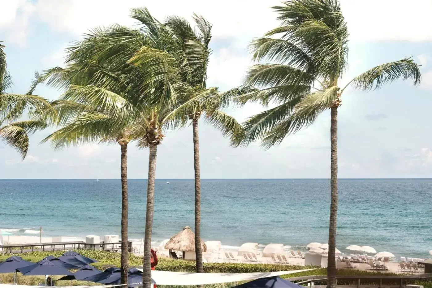 Ocean View King in Beach Club at The Boca Raton Ocean View King in Beach Club at The Boca Raton