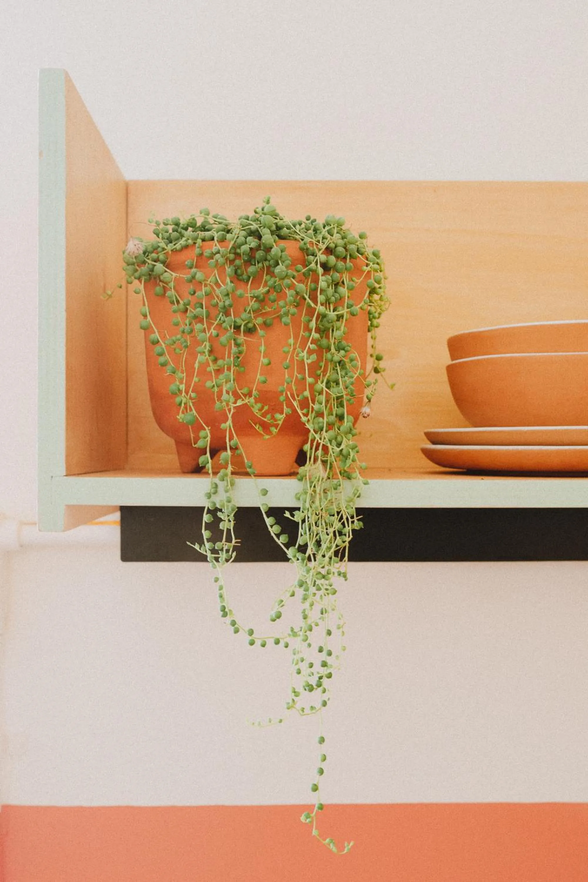 Decorative detail in Hotel San Fernando