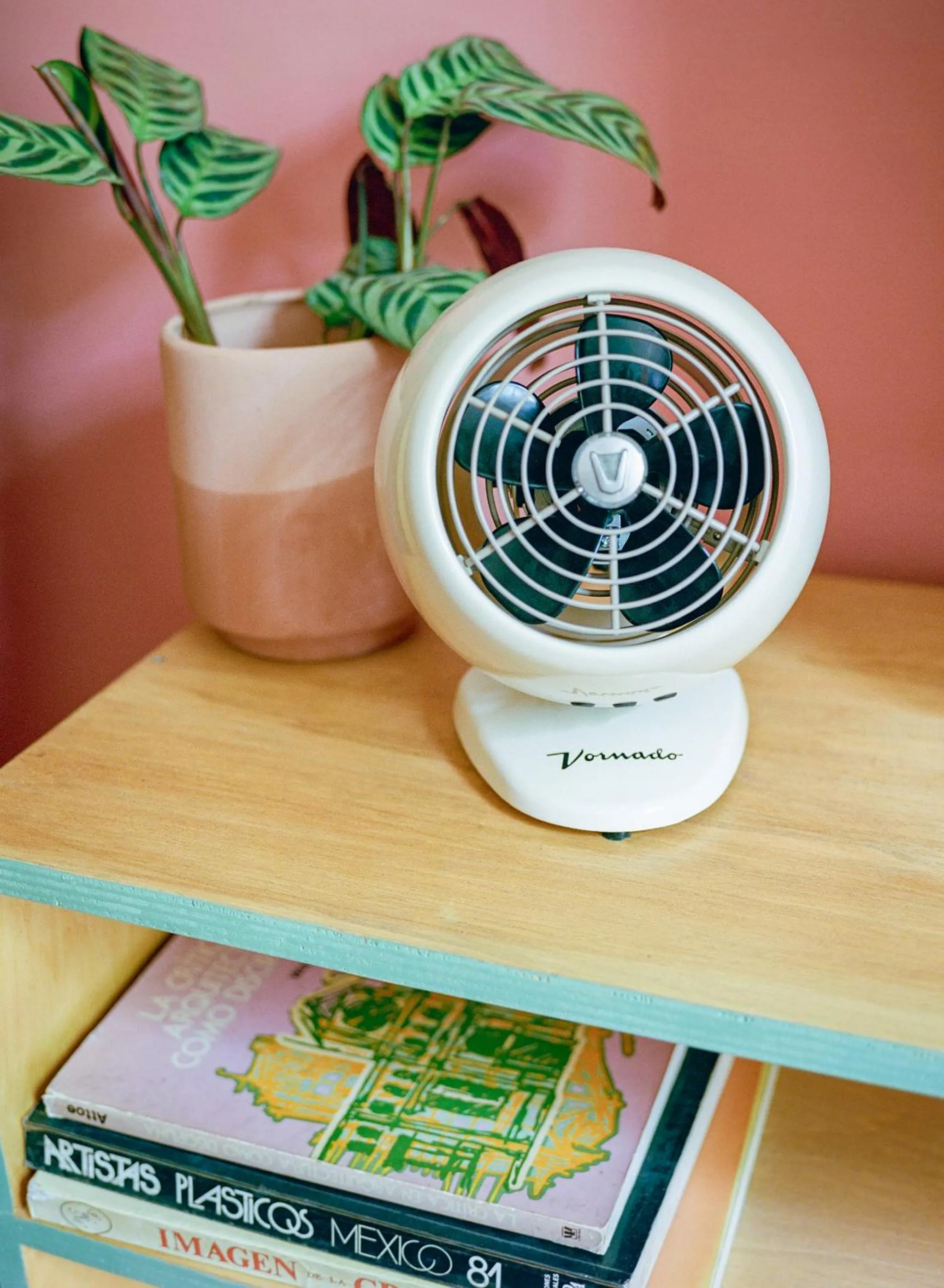 Decorative detail in Hotel San Fernando