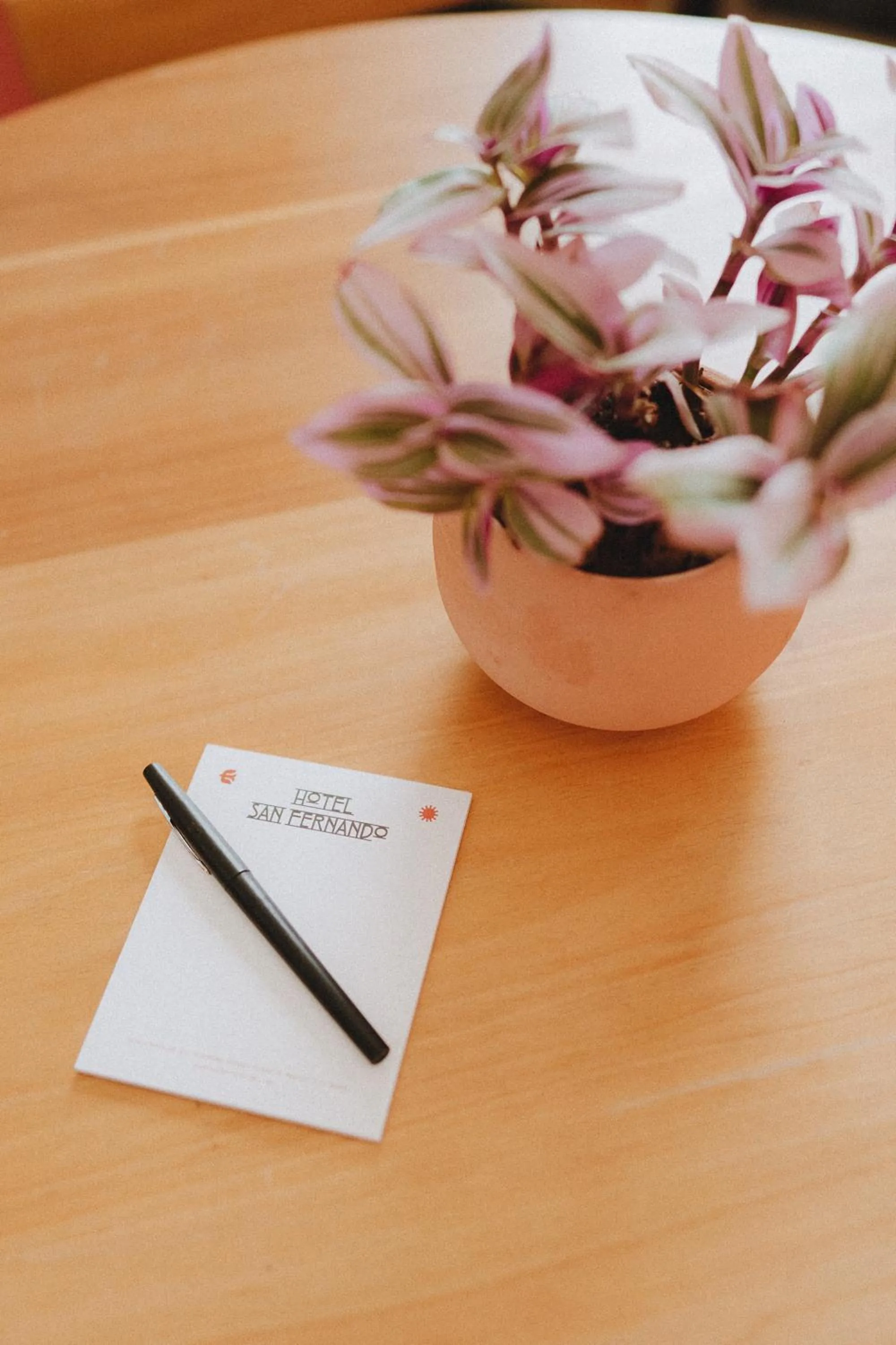 Decorative detail in Hotel San Fernando