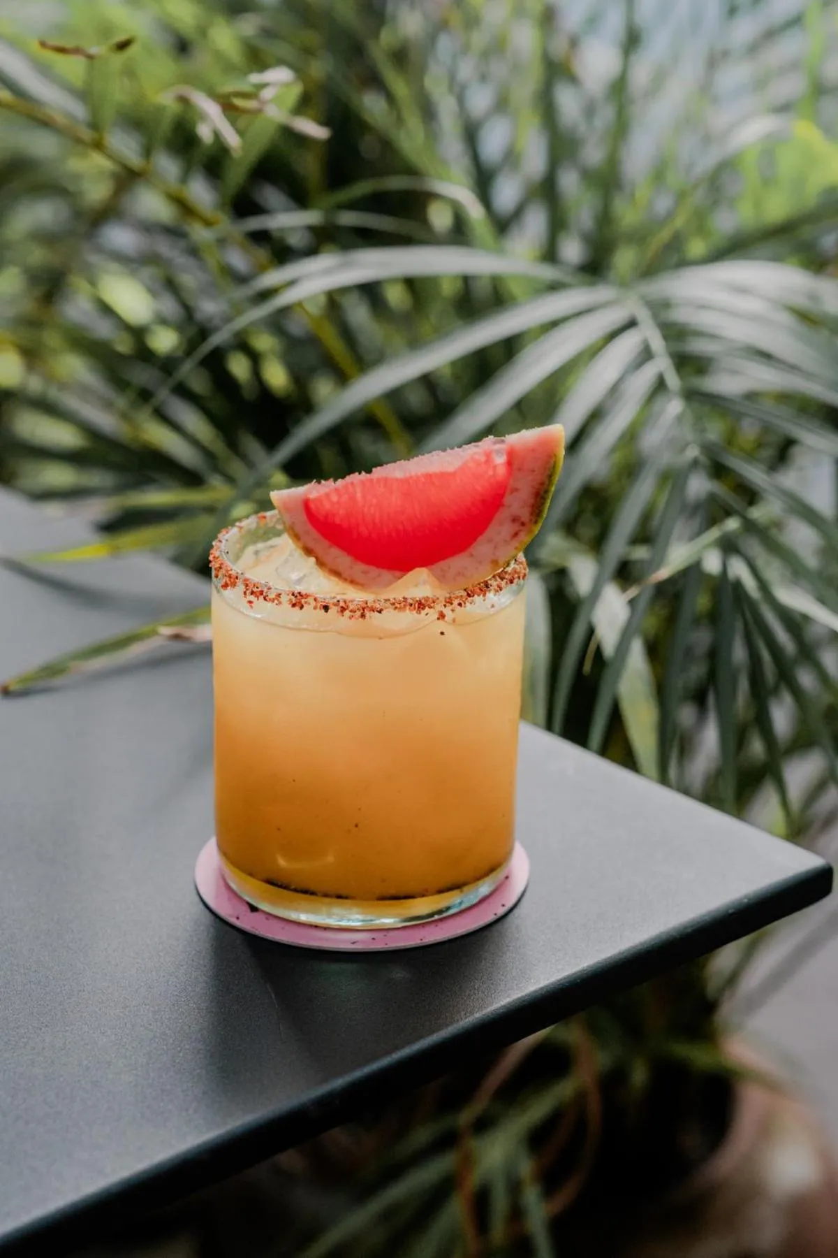 Lounge or bar in Hotel San Fernando