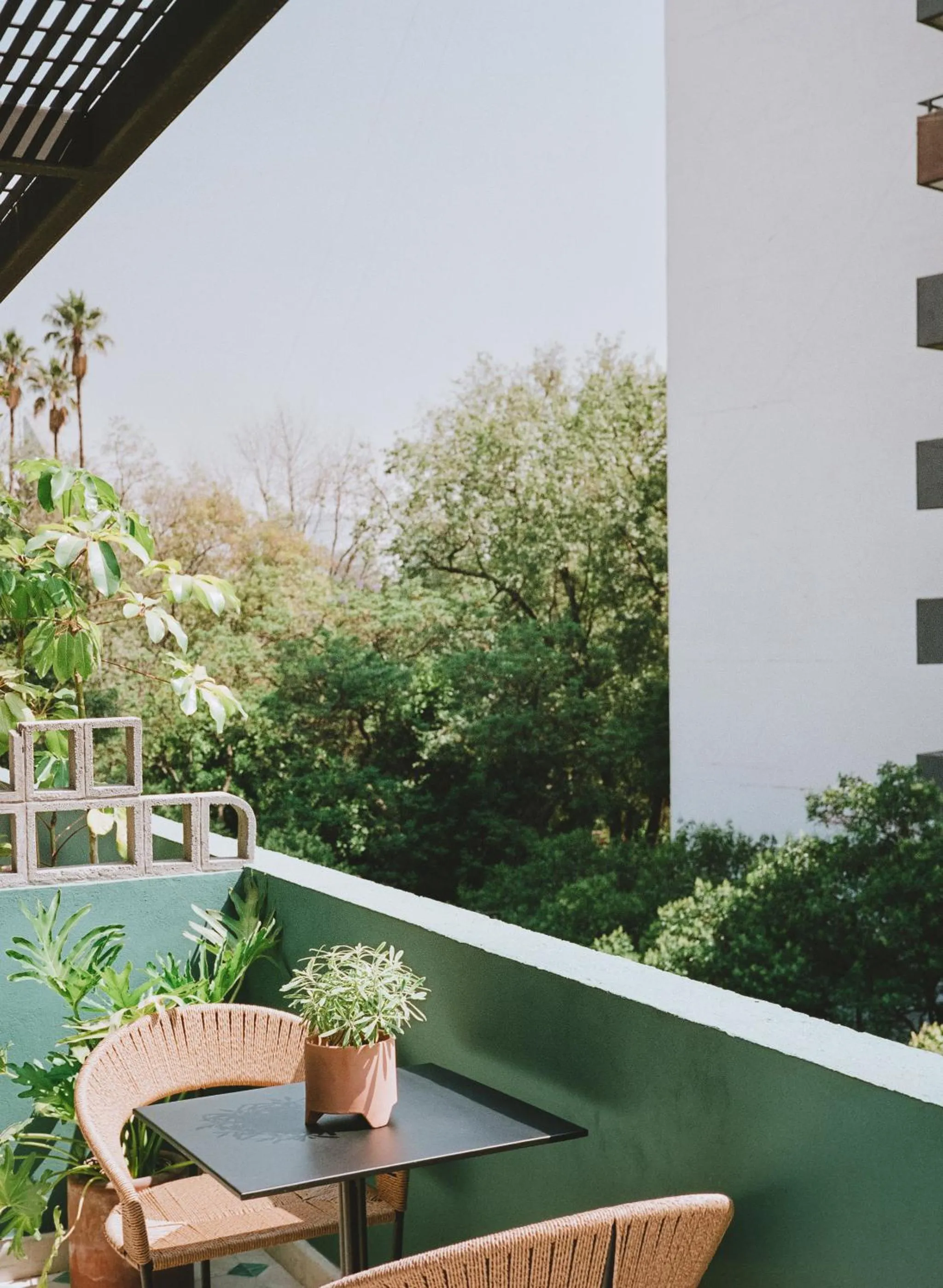 Balcony/Terrace in Hotel San Fernando