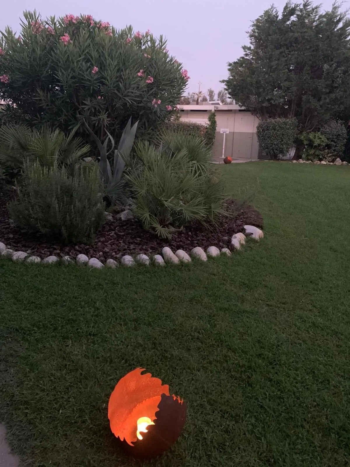 Garden in Rouge Hotel International