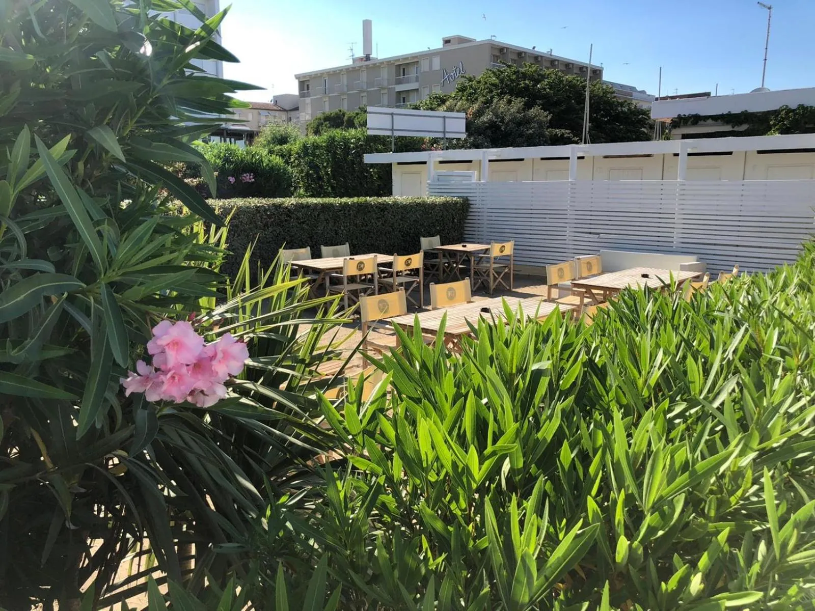 Garden in Rouge Hotel International