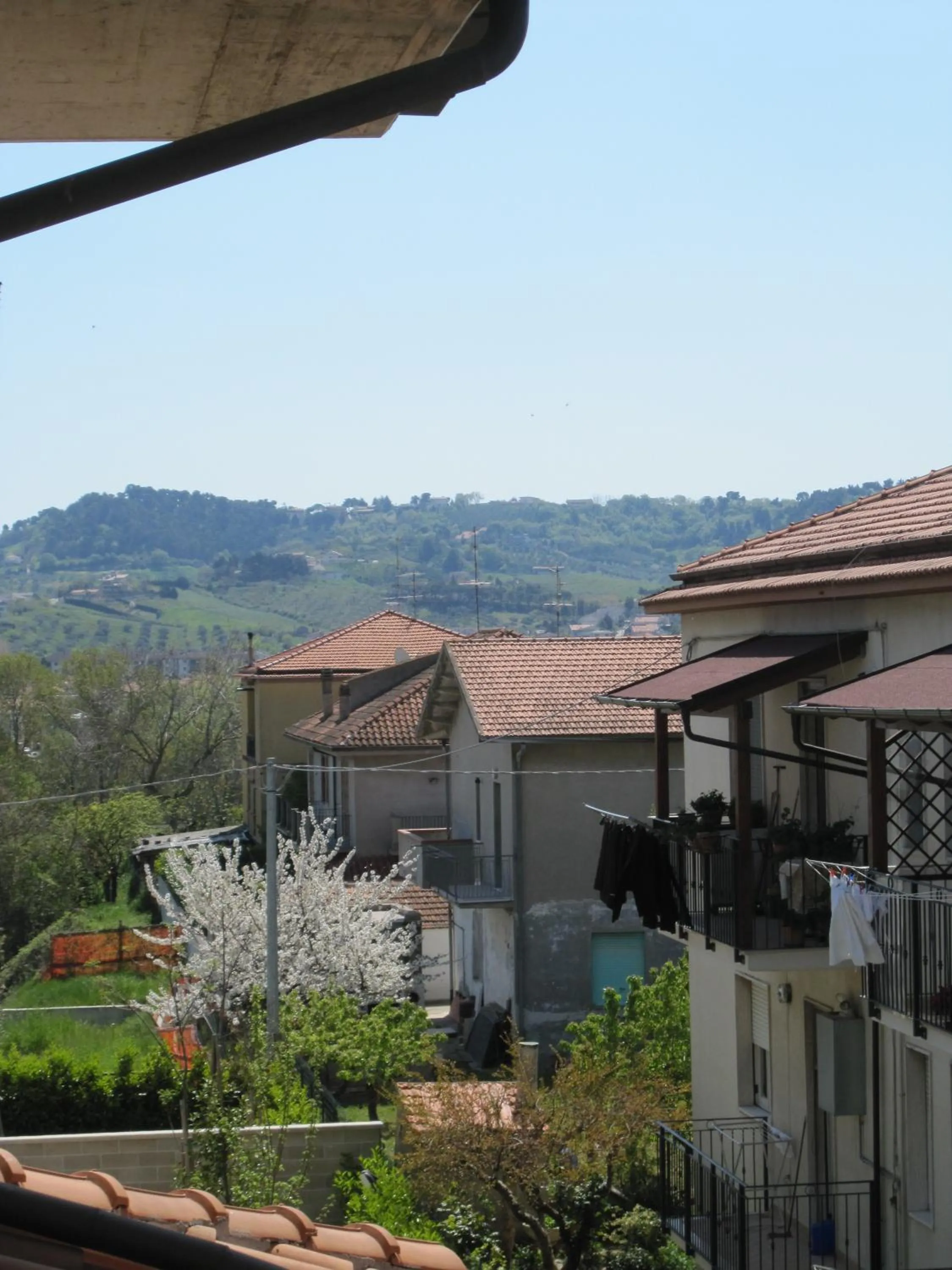 View (from property/room) in Magnolia B&B