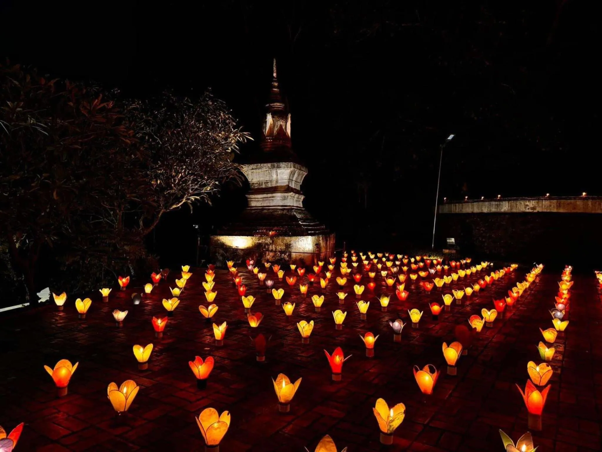 Activities in Golden Lotus Namkhan View