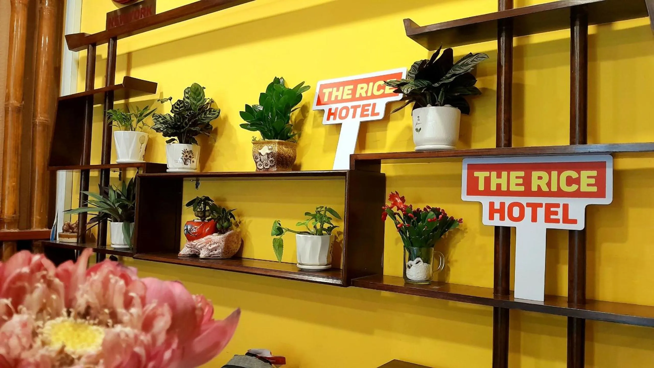 Logo/Certificate/Sign in THE RICE HOTEL