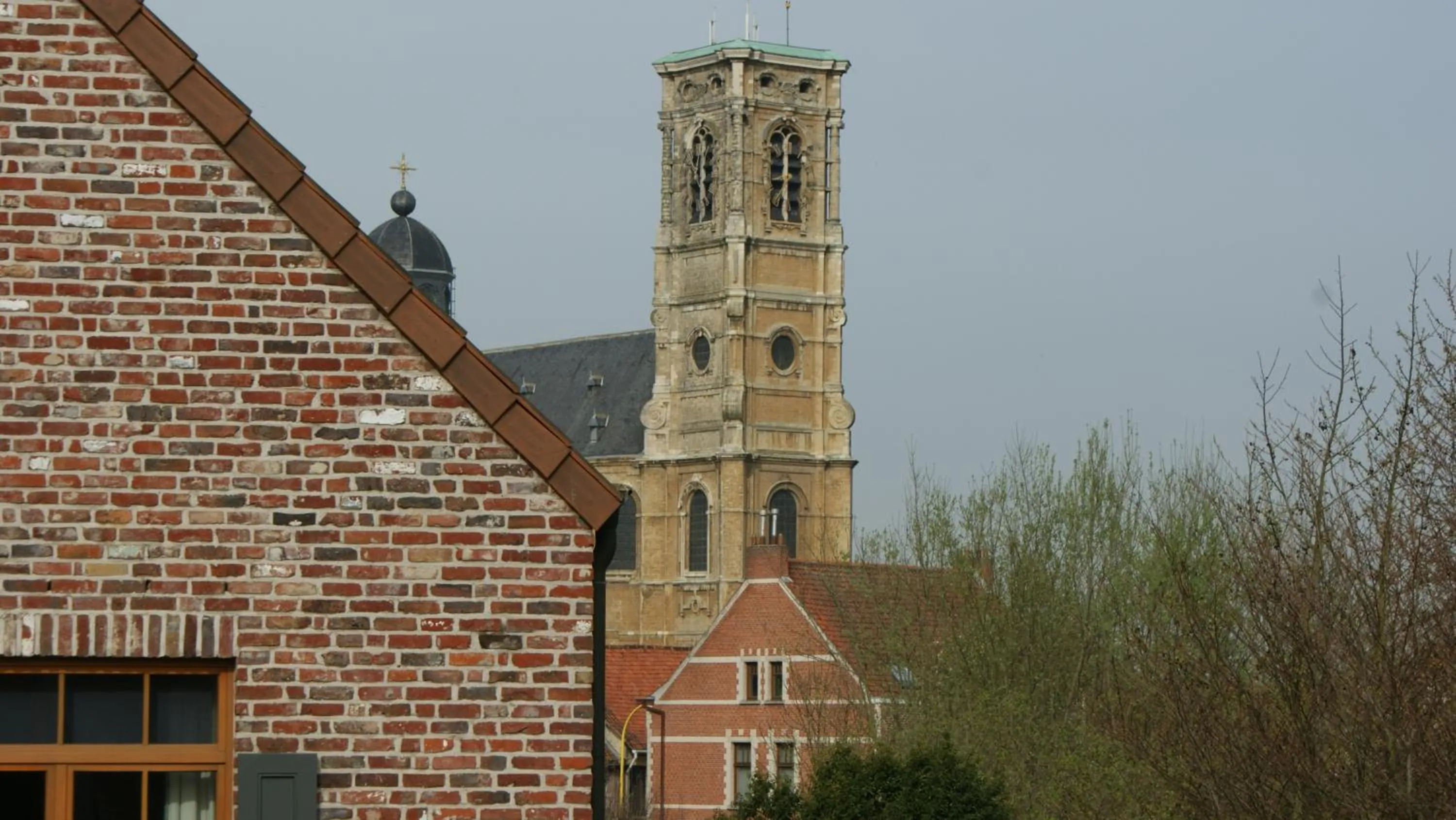 Area and facilities in Hotel ABBEY