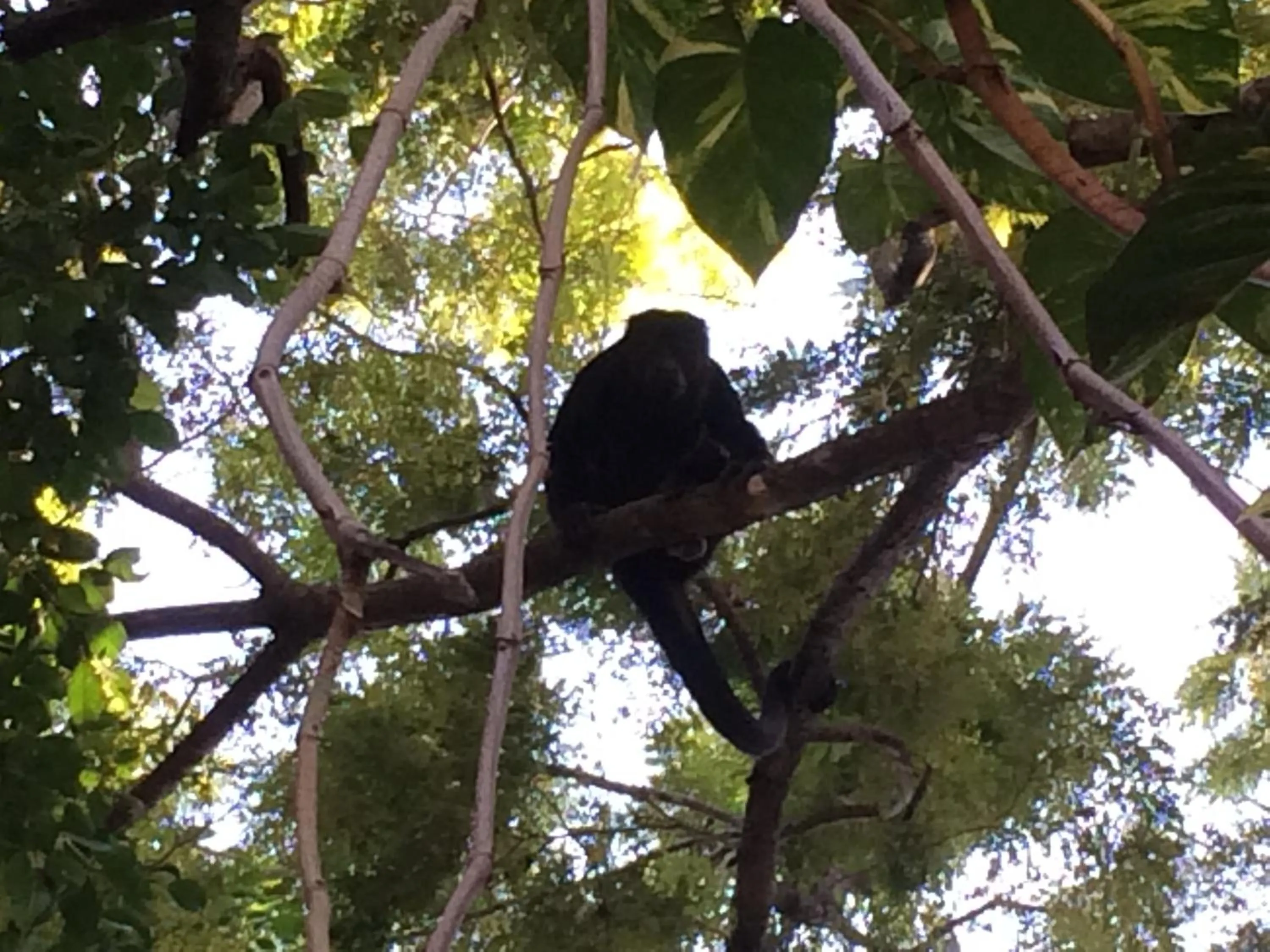 Day in Quinta Esencia