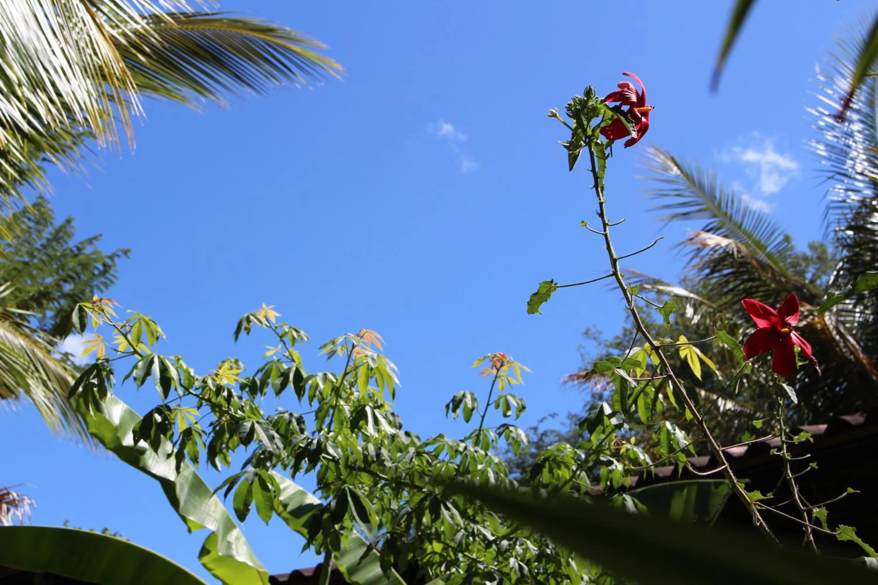 Day in Quinta Esencia