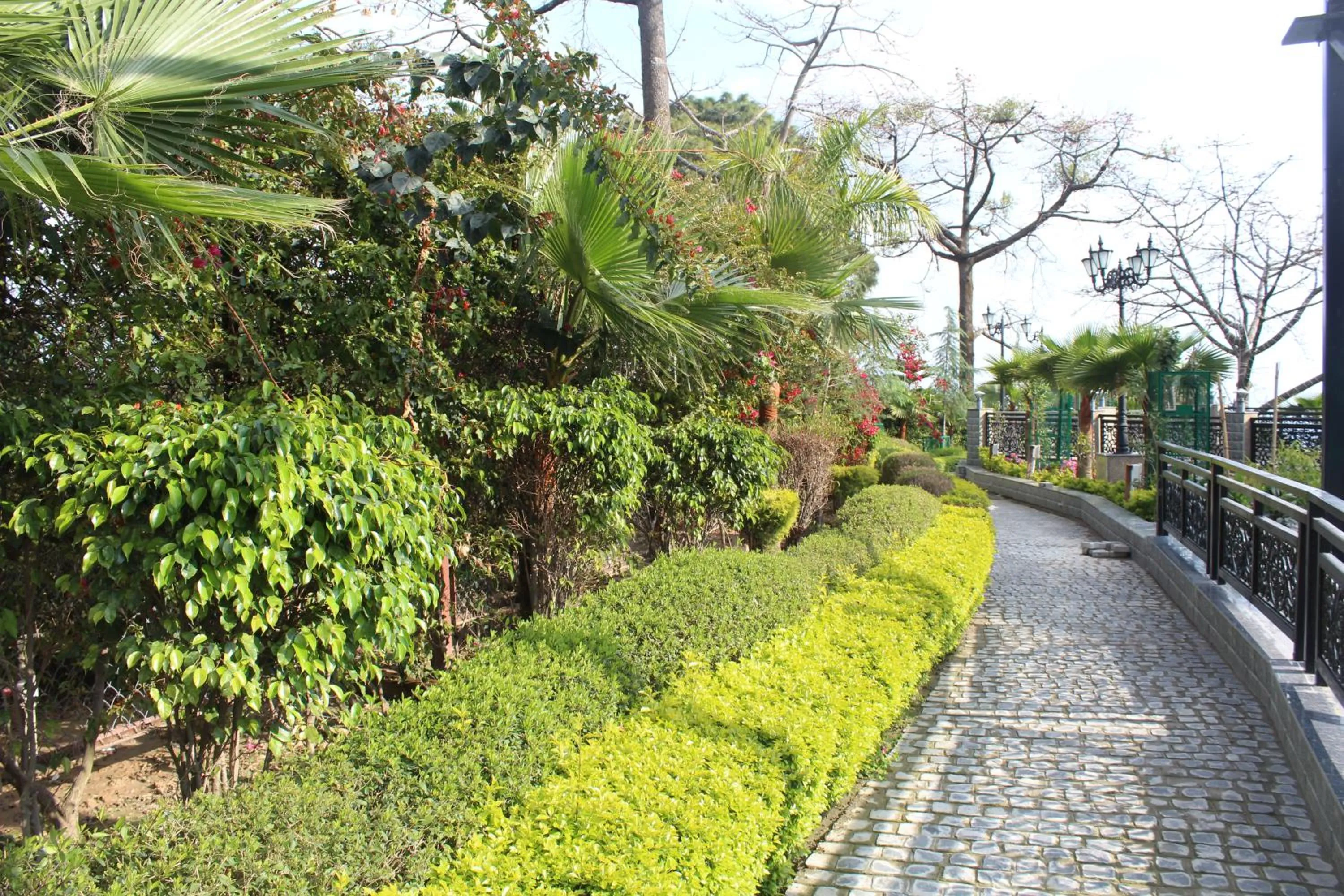 Garden in Dhauladhar Heights Resort