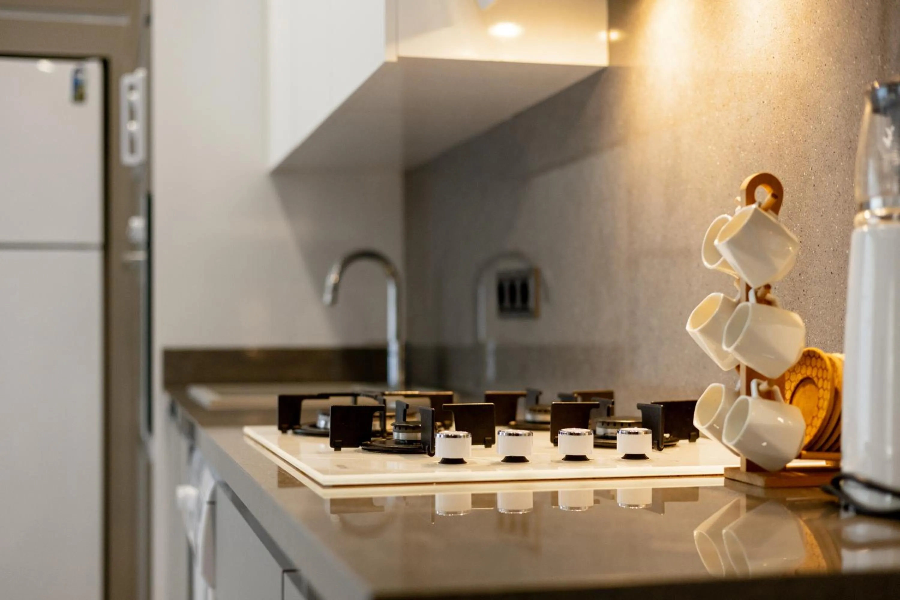 stove in Artan Suites Tatil Evleri