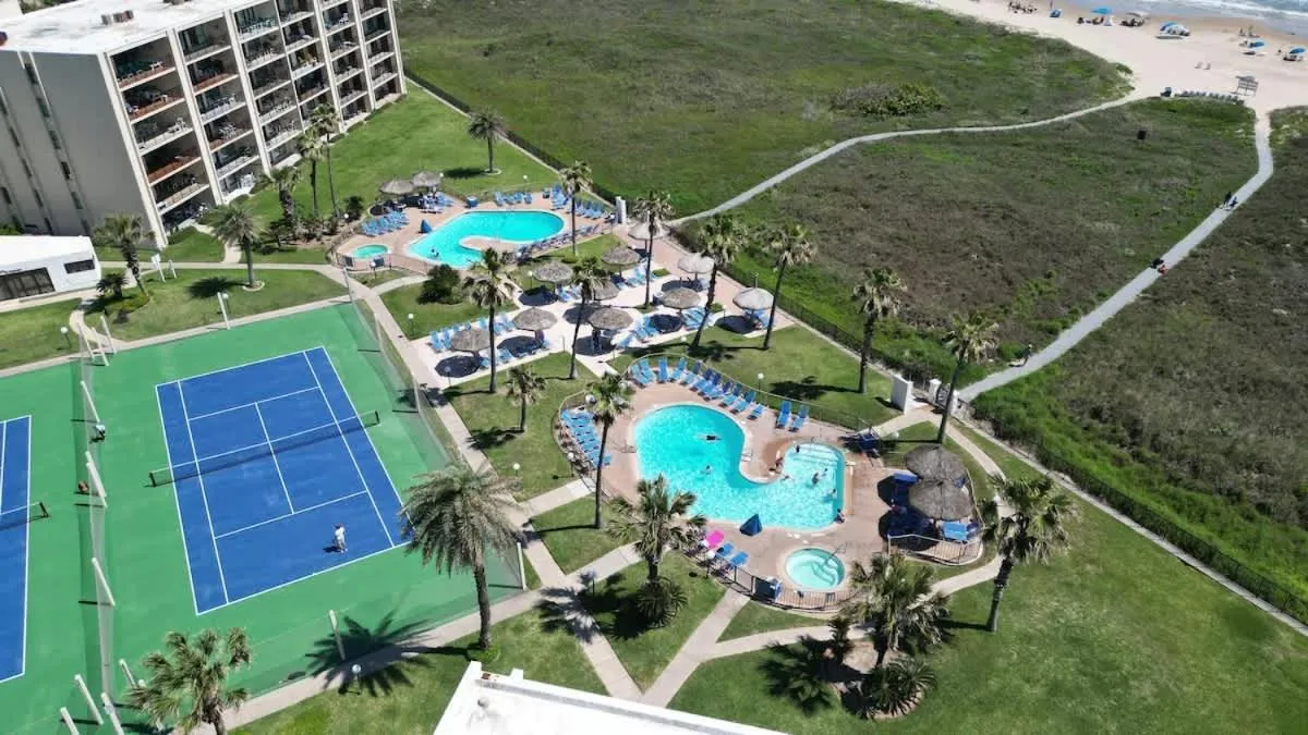 Swimming pool in Saida Towers II #104