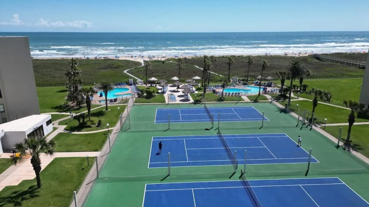 Sports in Saida Towers II #104