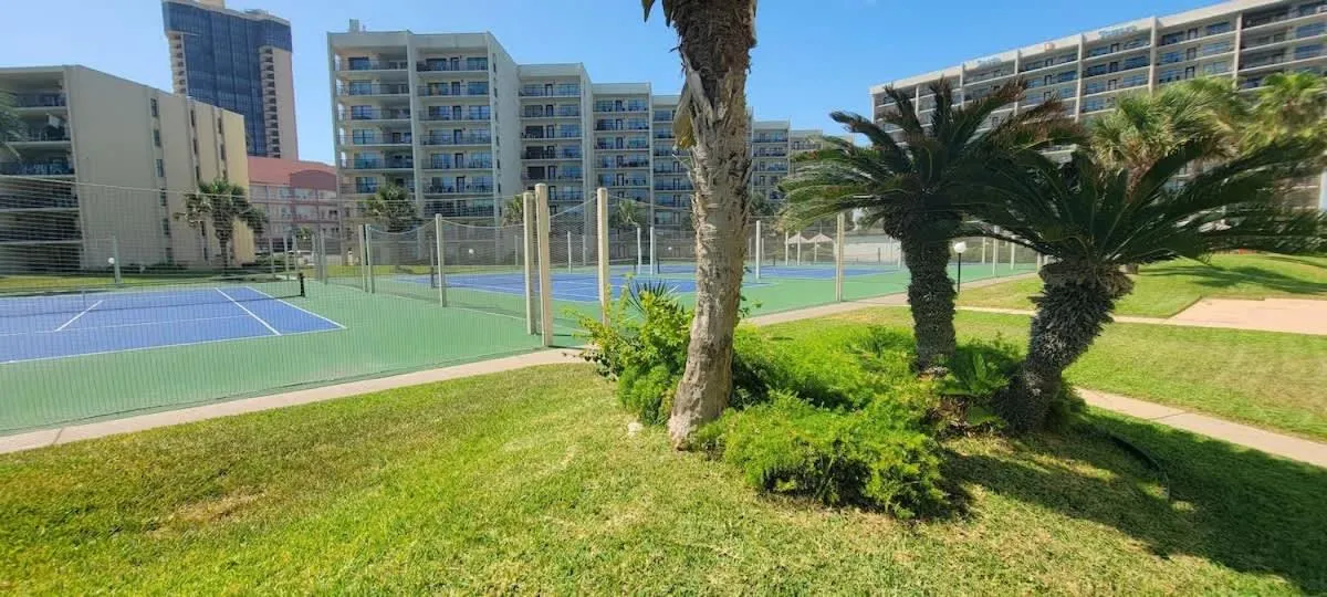 Sports in Saida Towers II #104