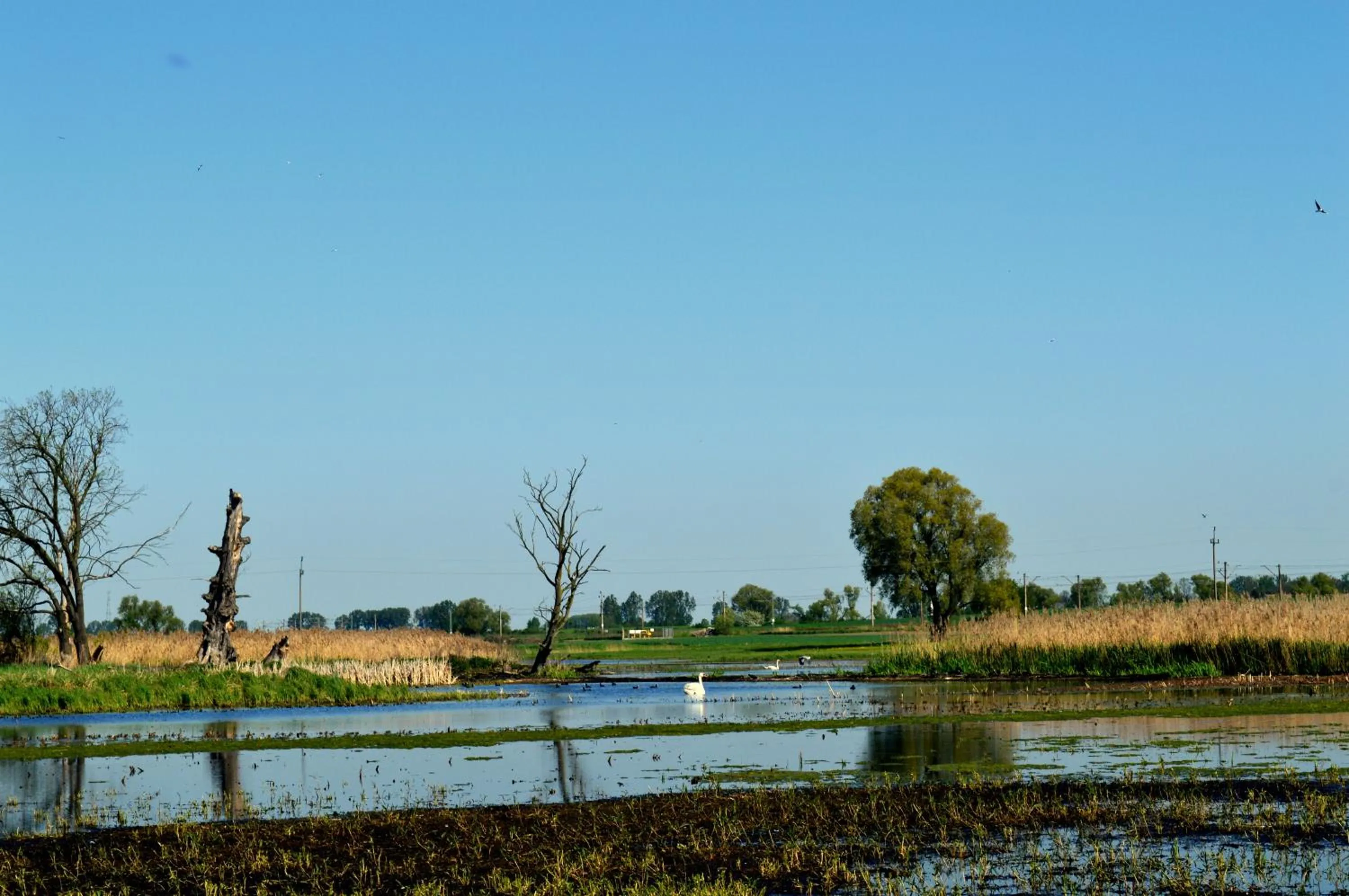 Natural landscape in Hotel Wielkopolanka