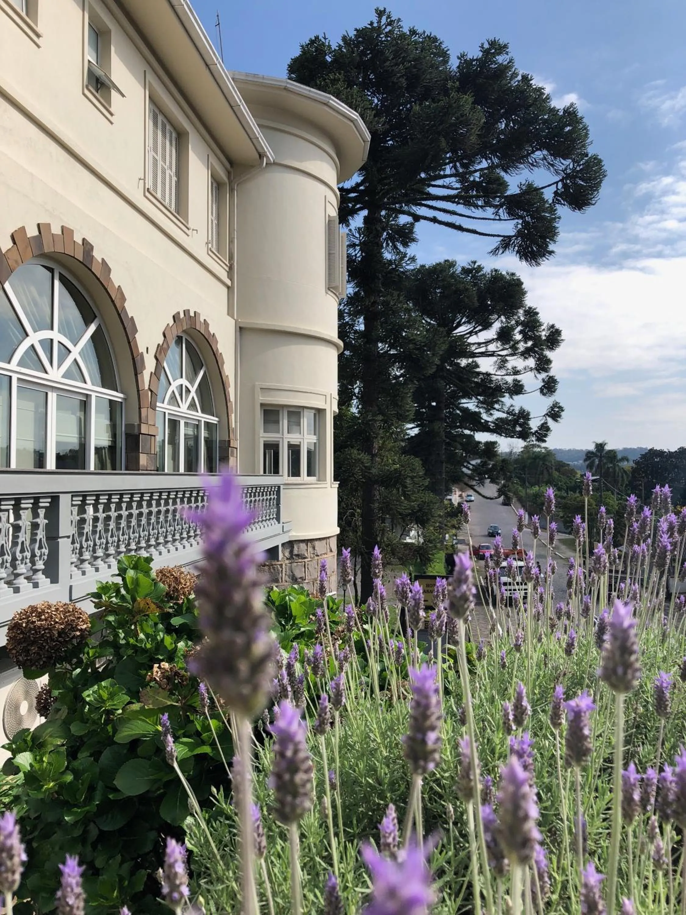 Garden in Hotel Casacurta