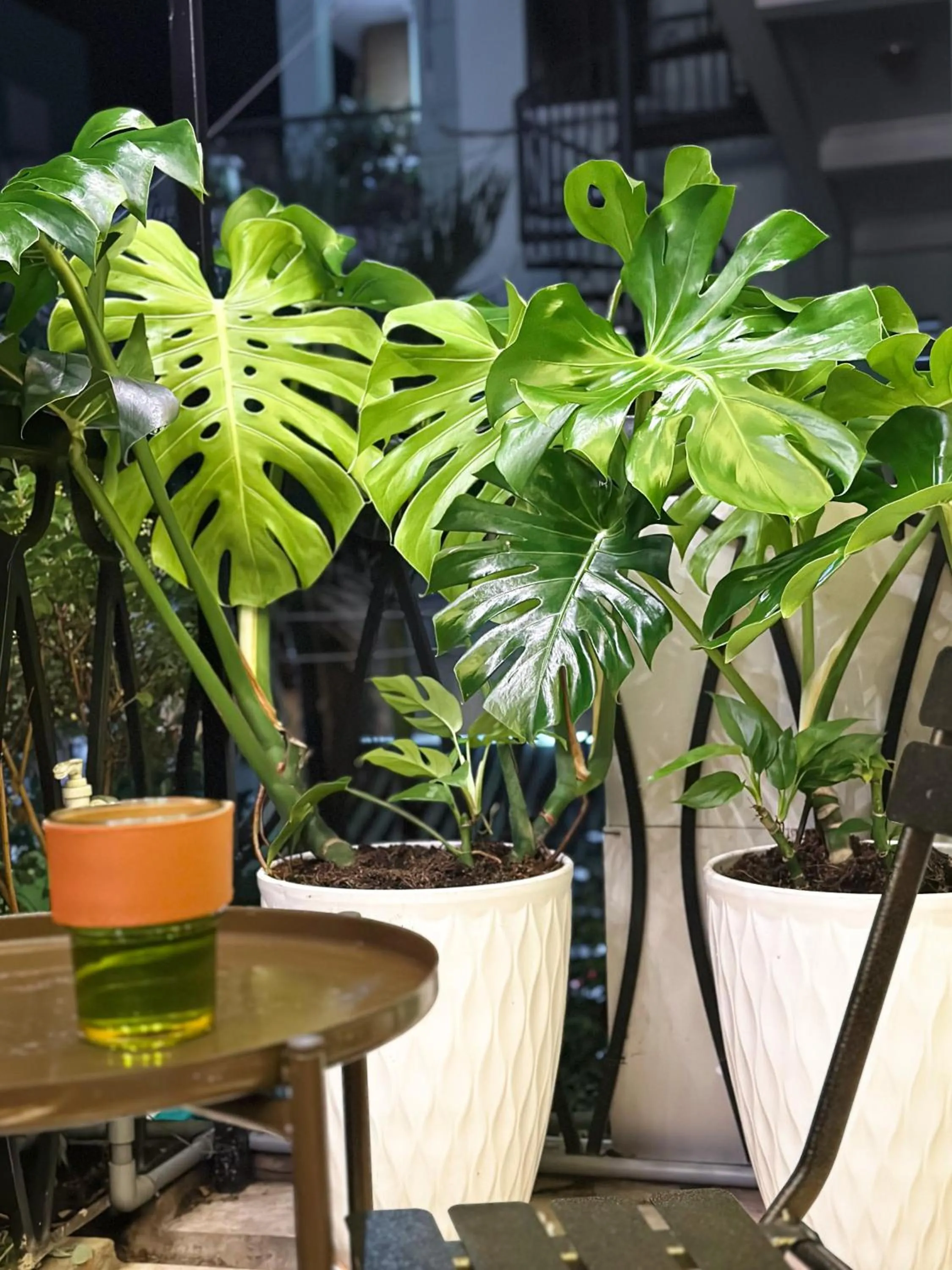 Balcony/Terrace in BÊ TÔNG RESIDENCES HOMESTAY