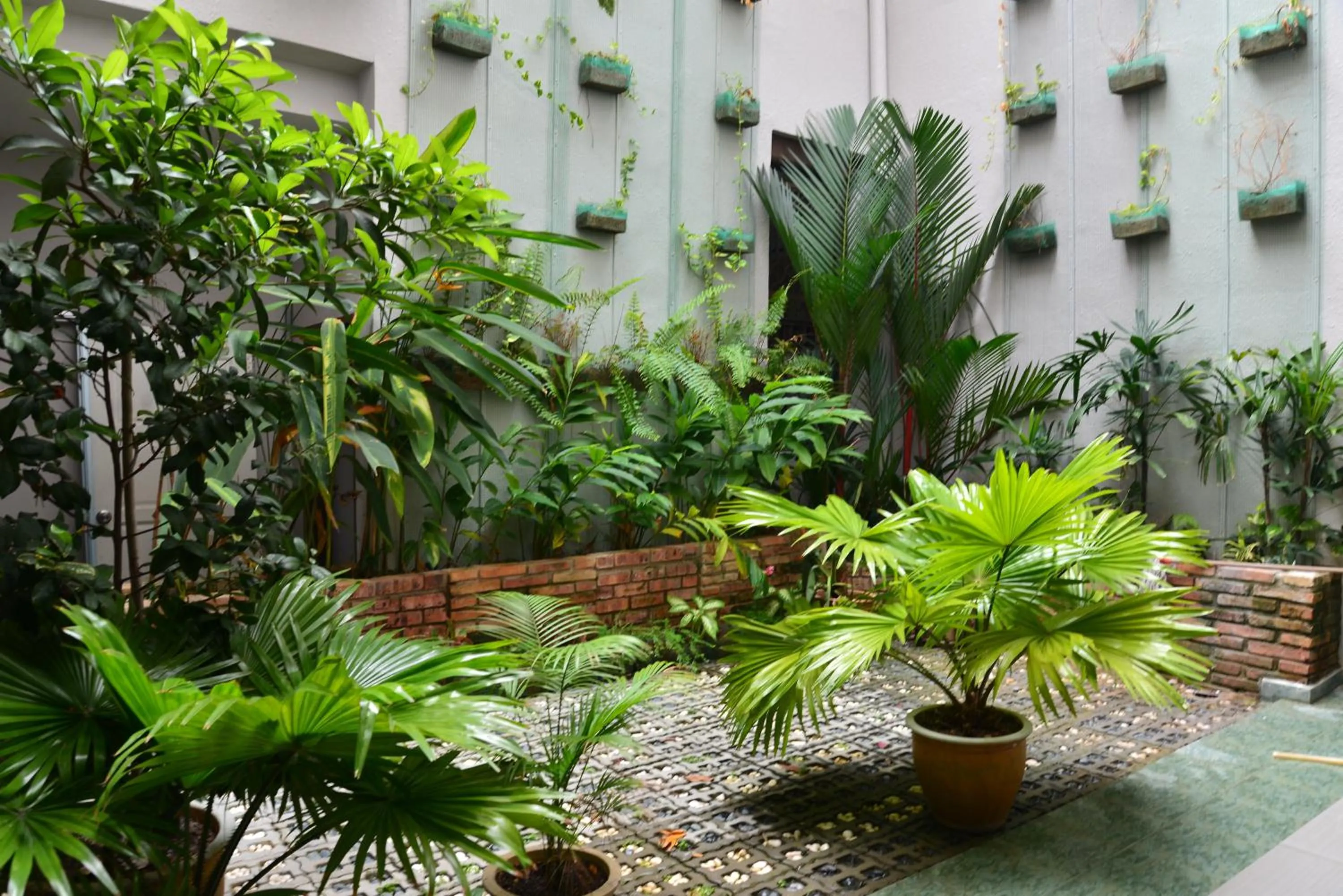 Garden in Cheng Ho Hotel