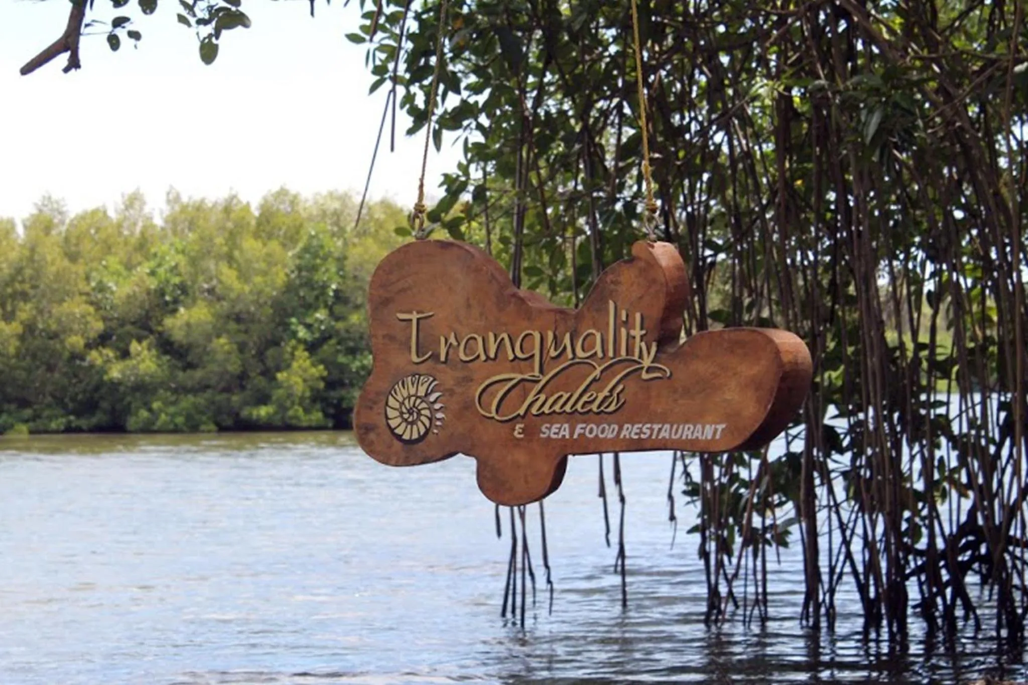 River view in Tranquality Chalets