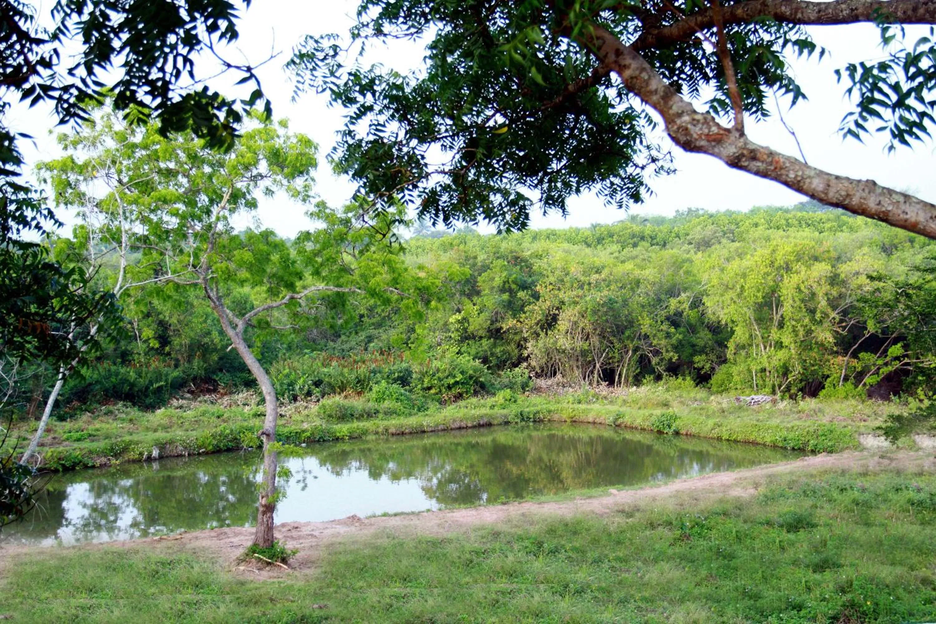 Day in Tranquality Chalets