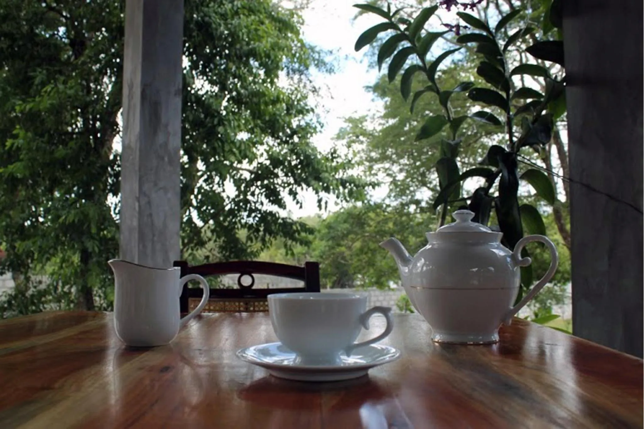 Restaurant/places to eat in Tranquality Chalets