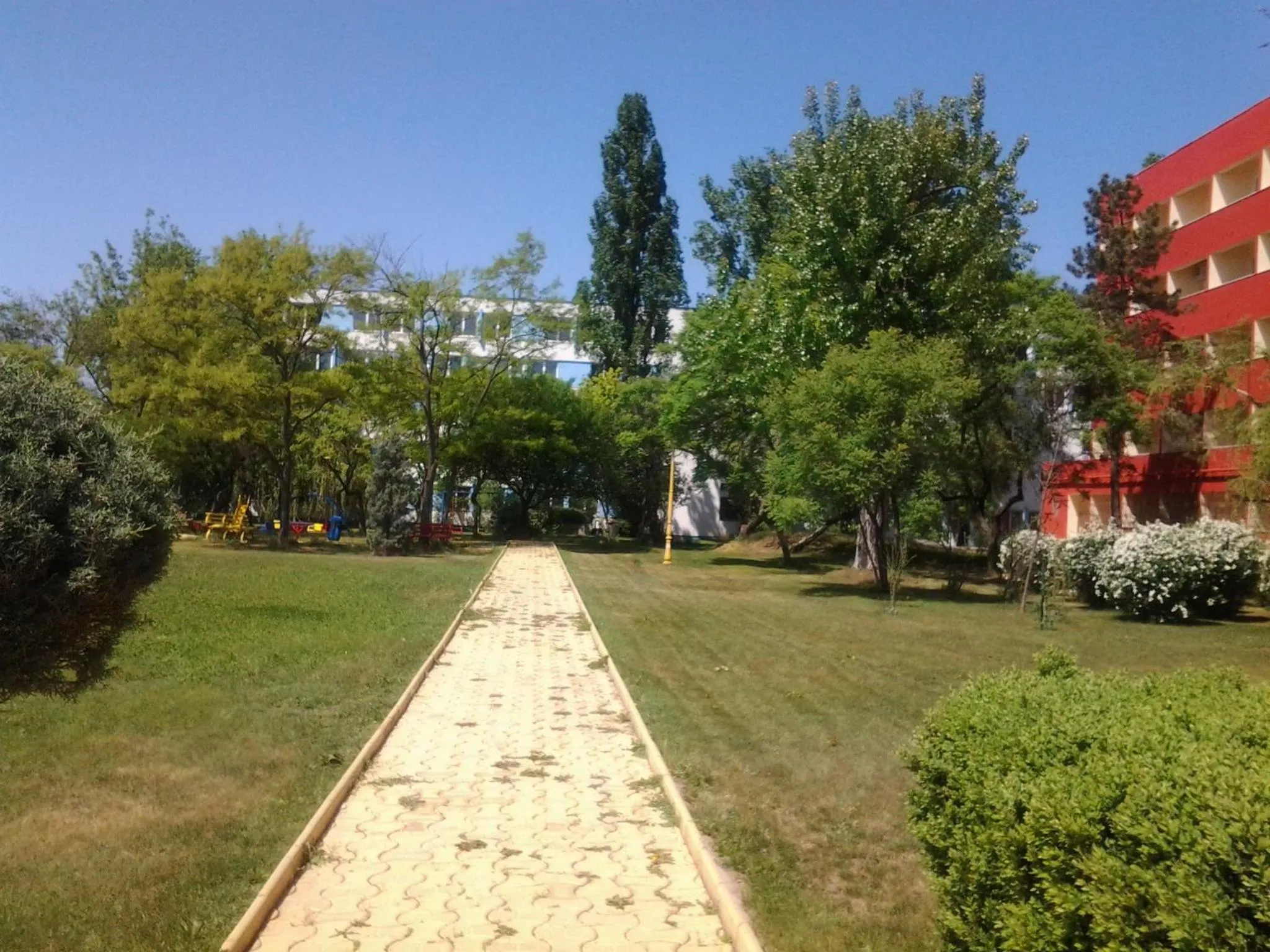 Garden in Hotel Piccadilly