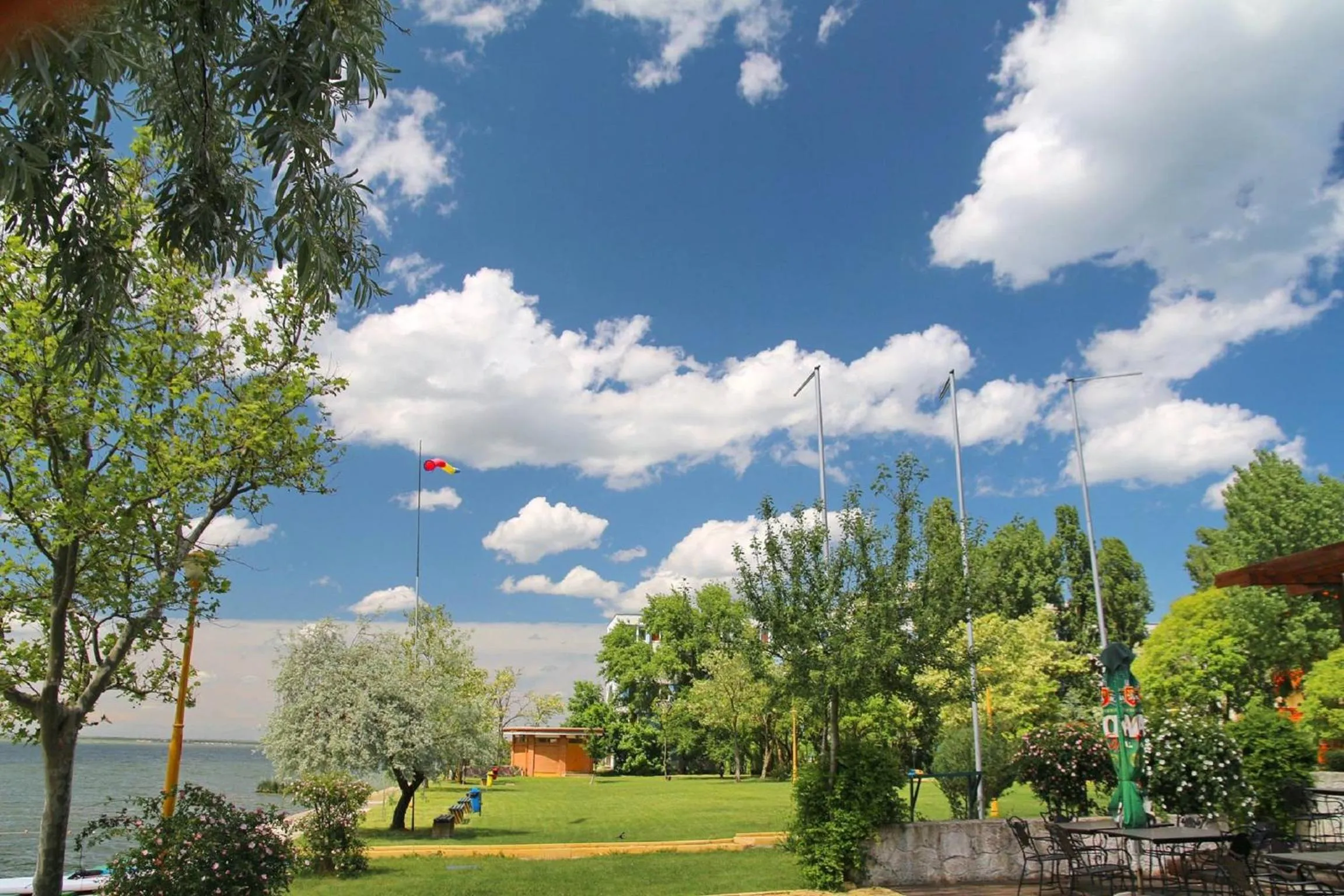 Natural landscape in Hotel Piccadilly