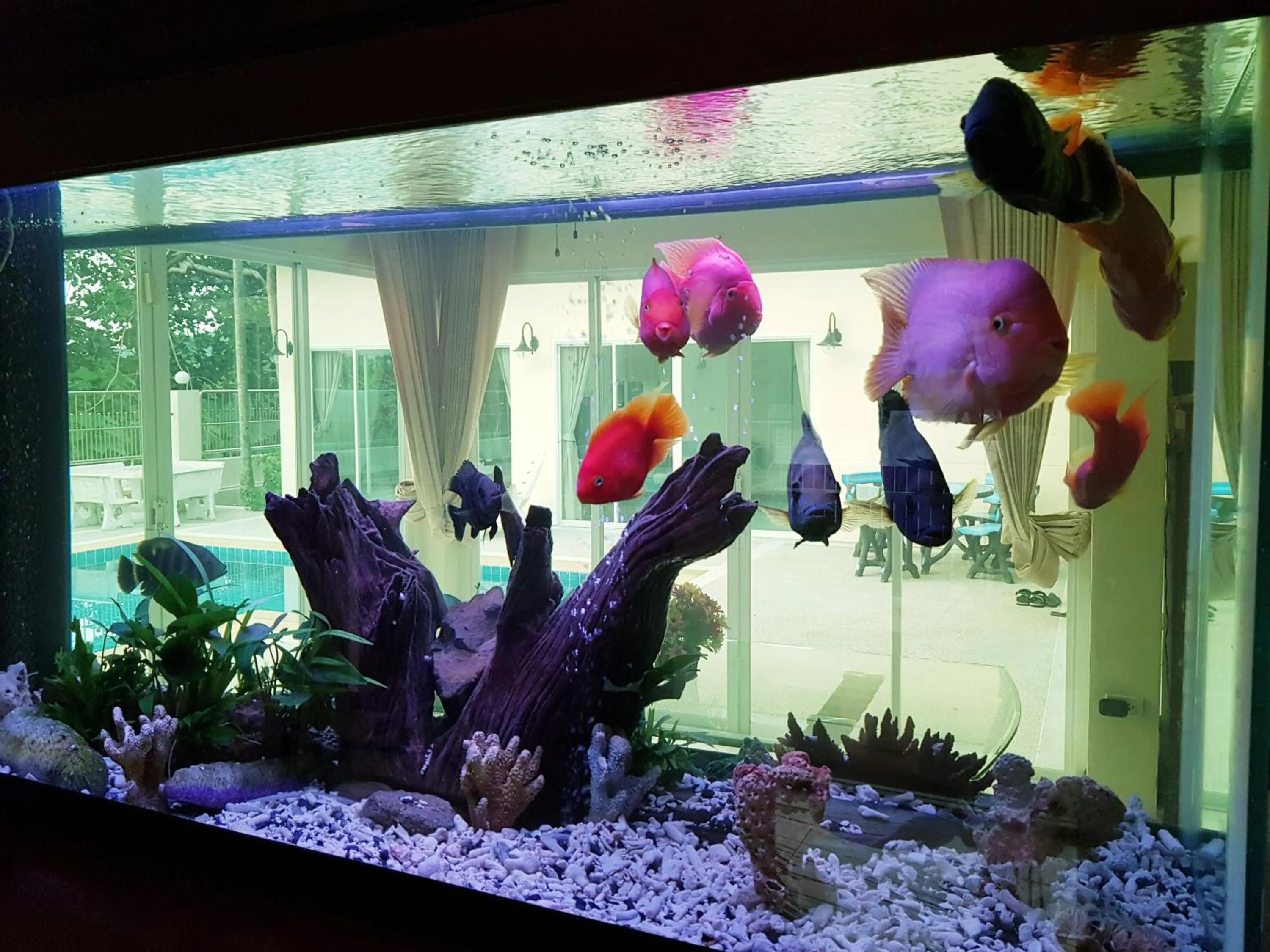 Communal lounge/ TV room in ViewPoint Villa