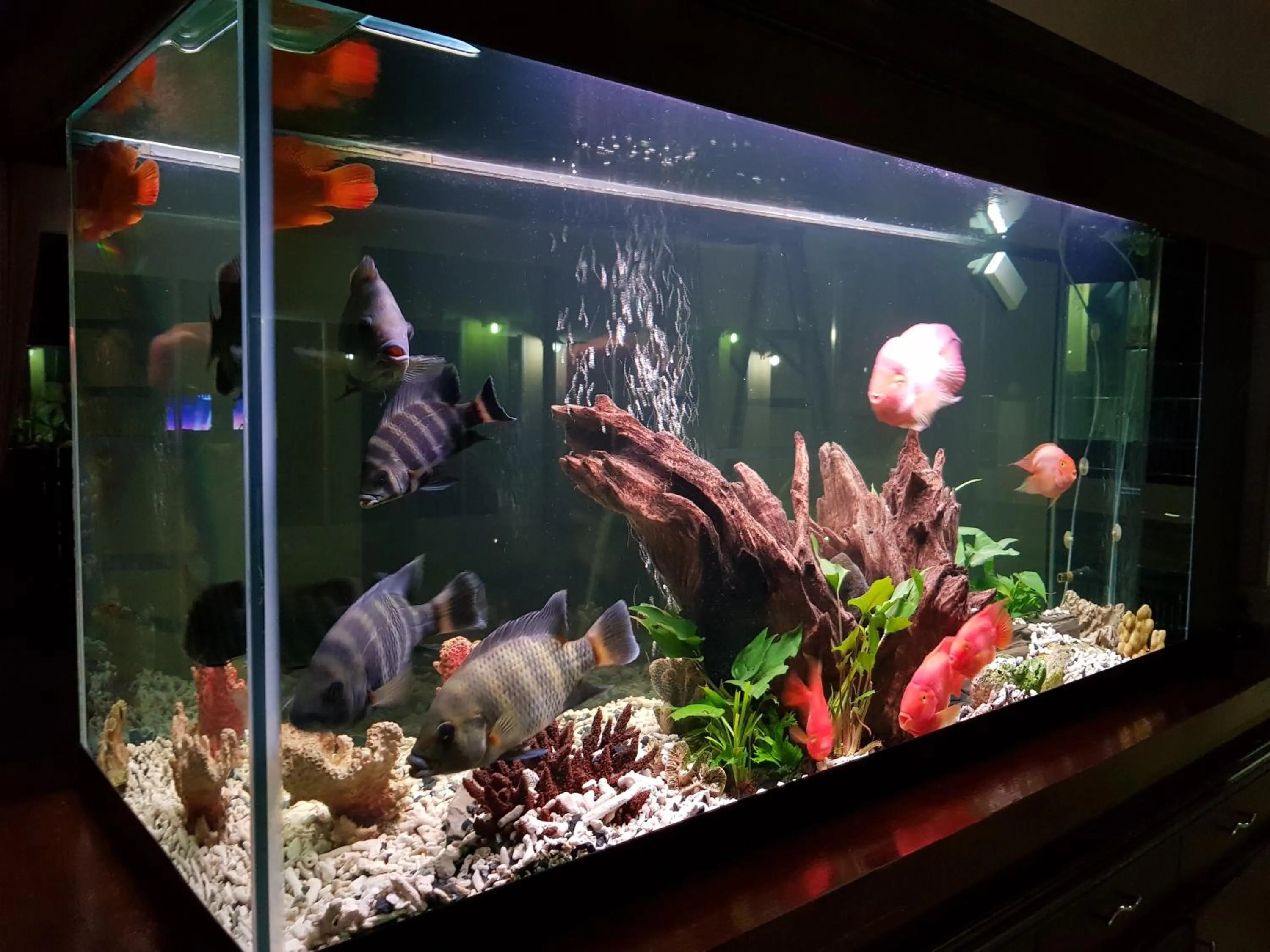 Property building in ViewPoint Villa