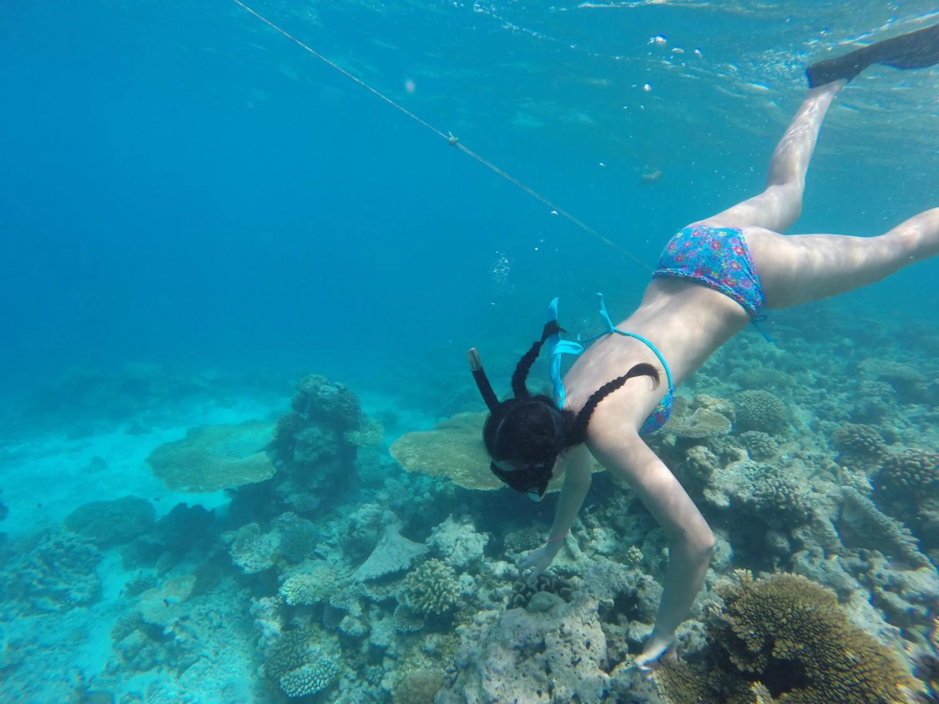 Snorkeling in Ras Rana Lodge