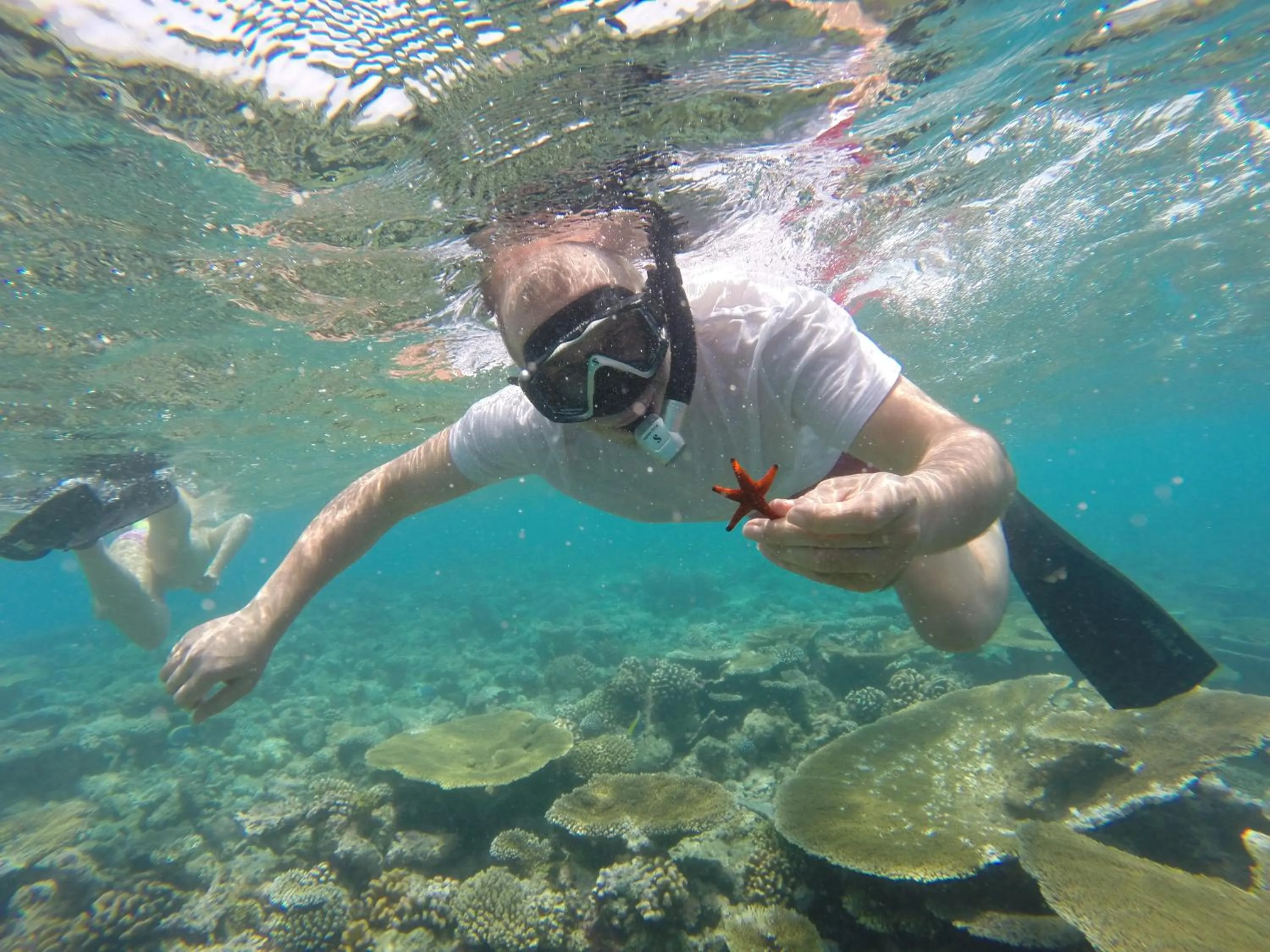 Snorkeling in Ras Rana Lodge