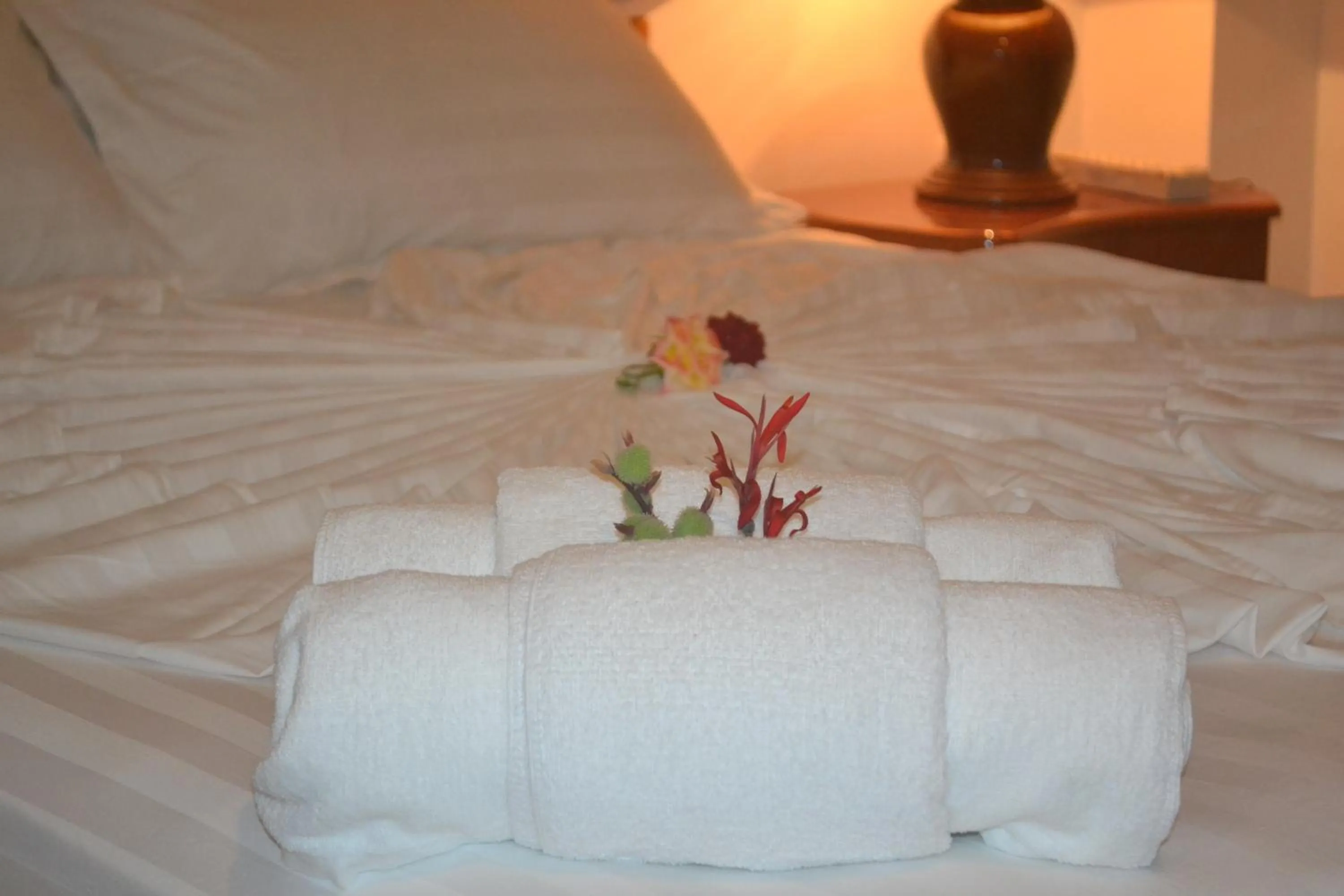 Bed in Ras Rana Lodge