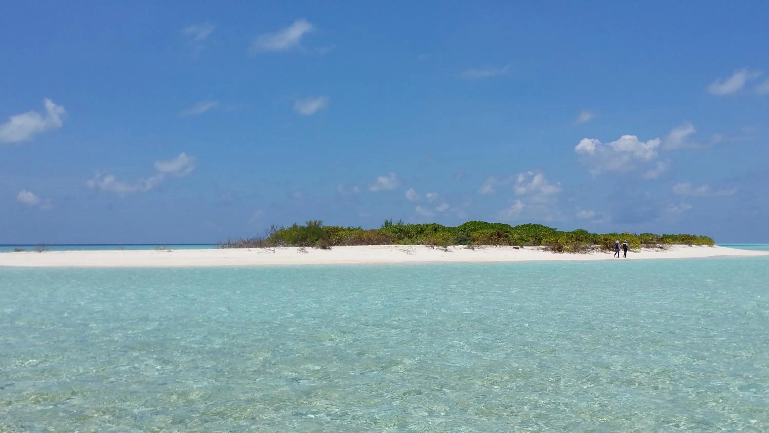 Day in Ras Rana Lodge