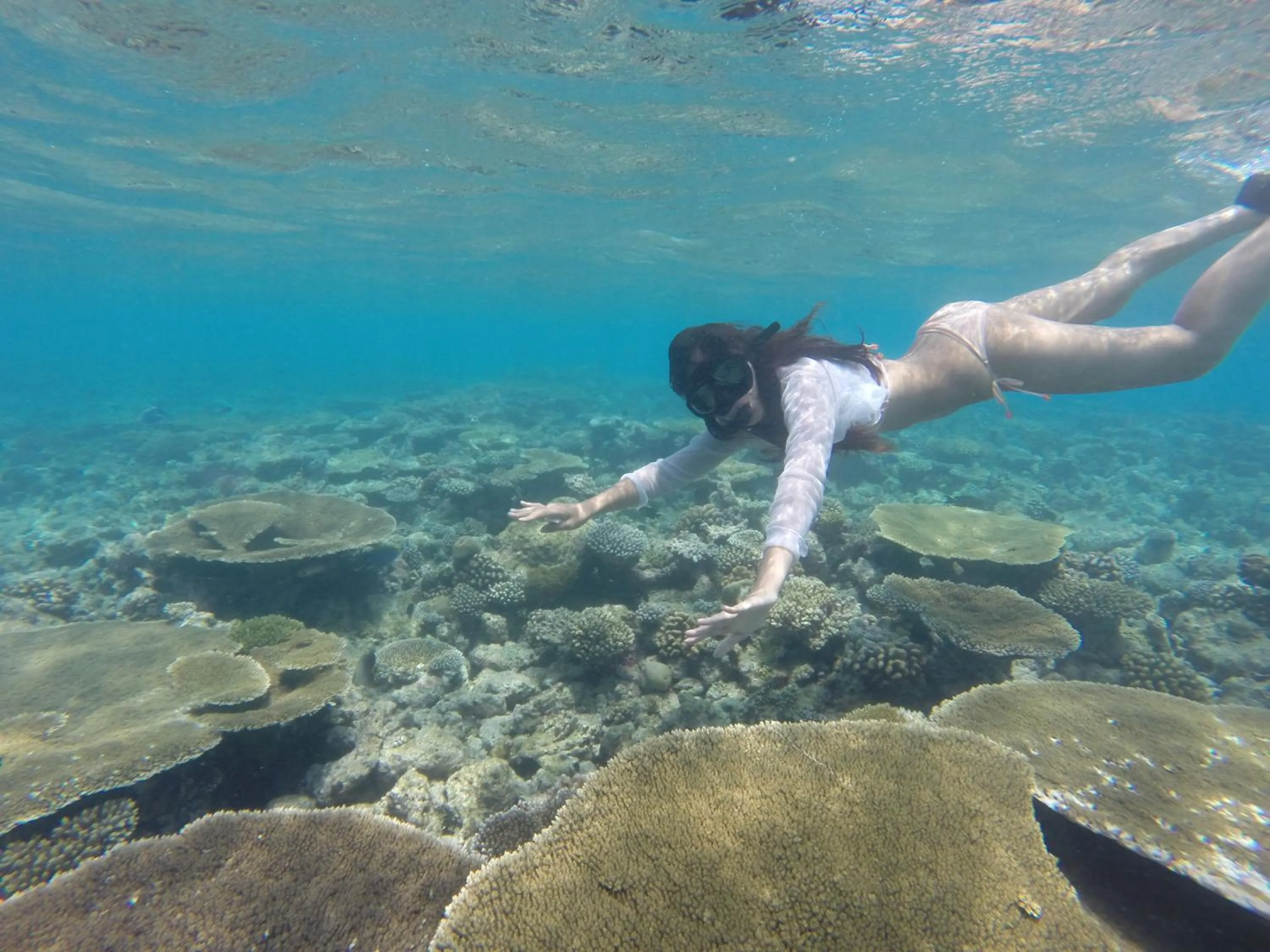 Snorkeling in Ras Rana Lodge
