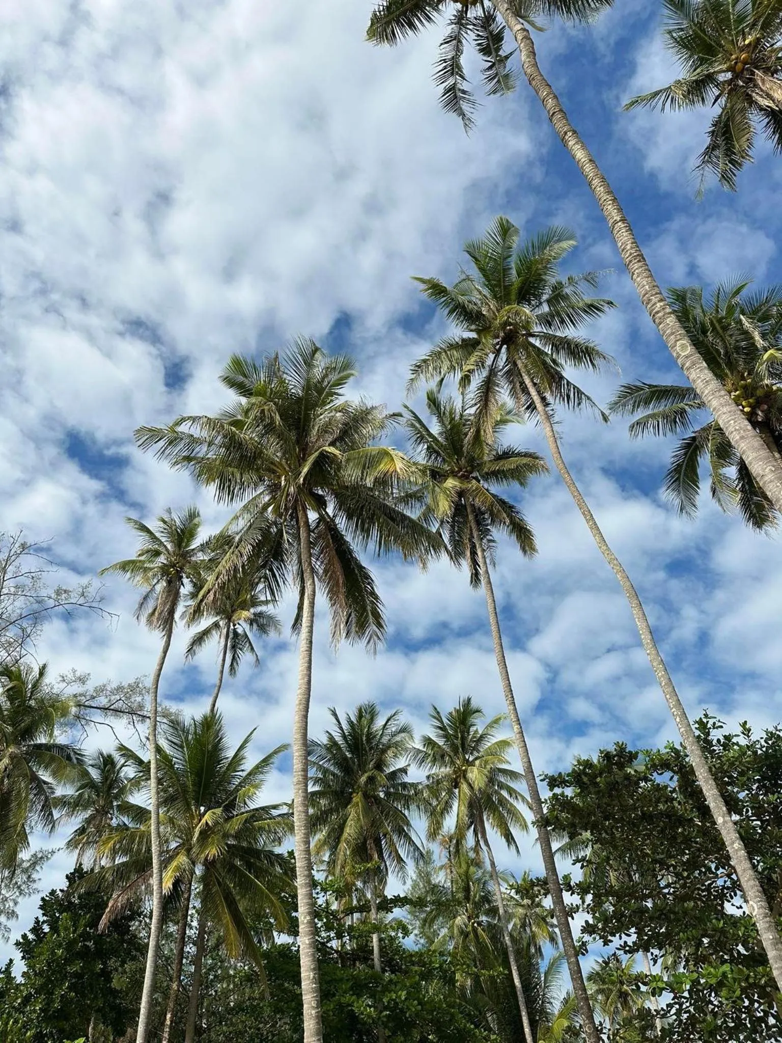 Seacret KohKood เกาะกูด