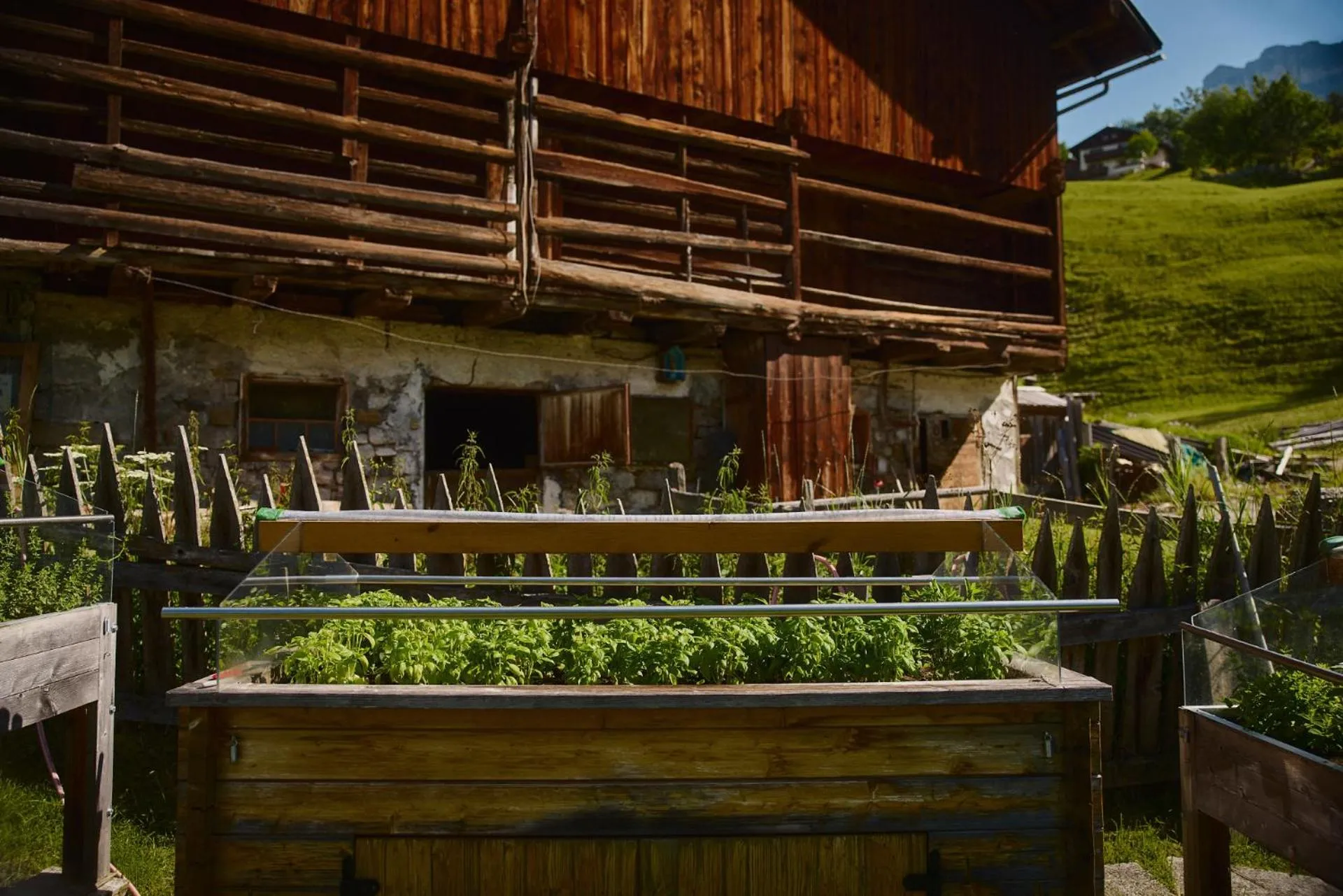 Spring in Residence Rosarela