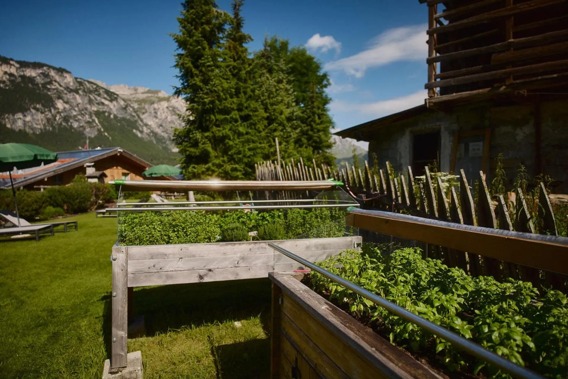 Spring in Residence Rosarela