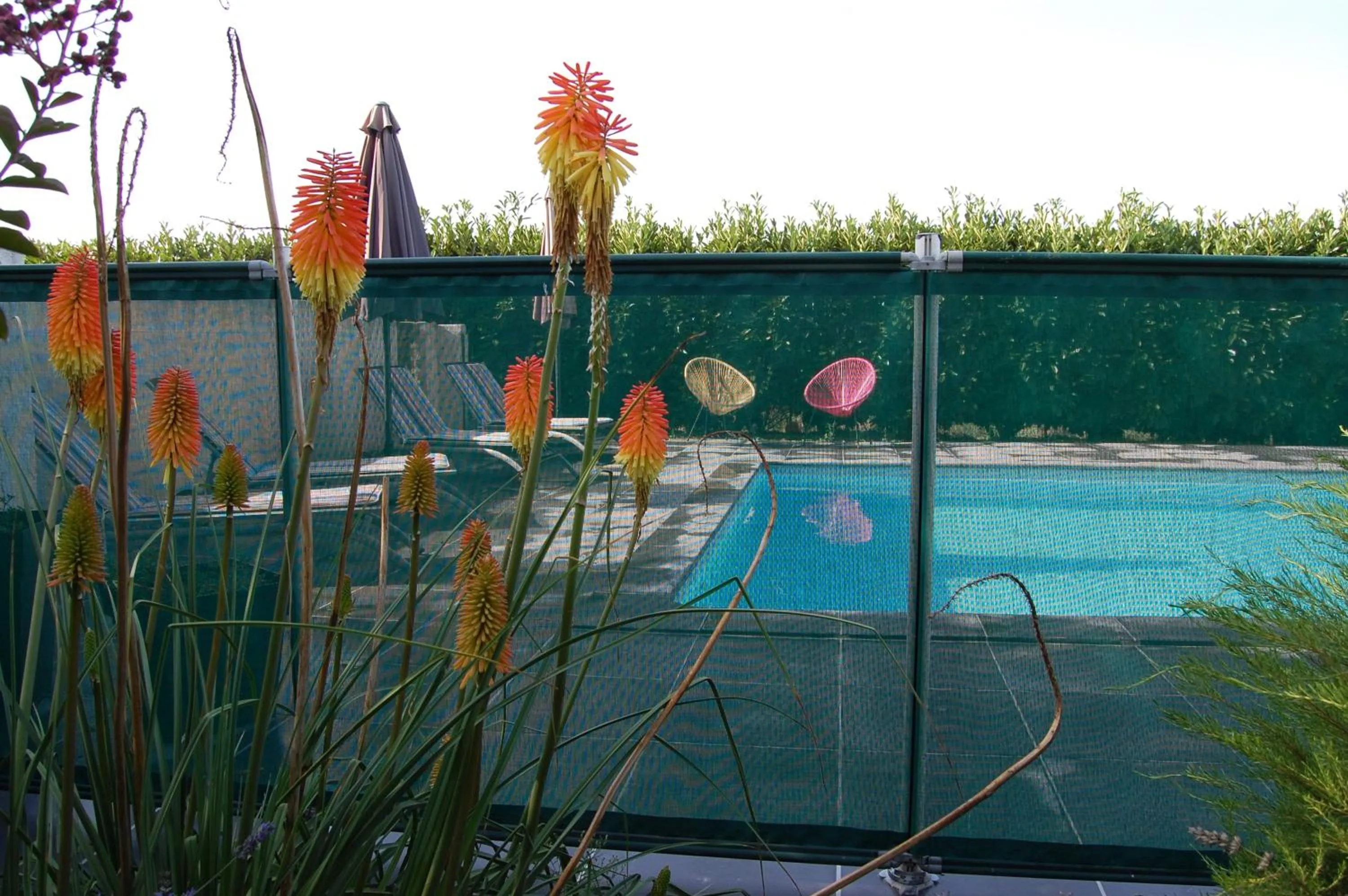 Swimming pool in Le Comptoir des Ecoliers