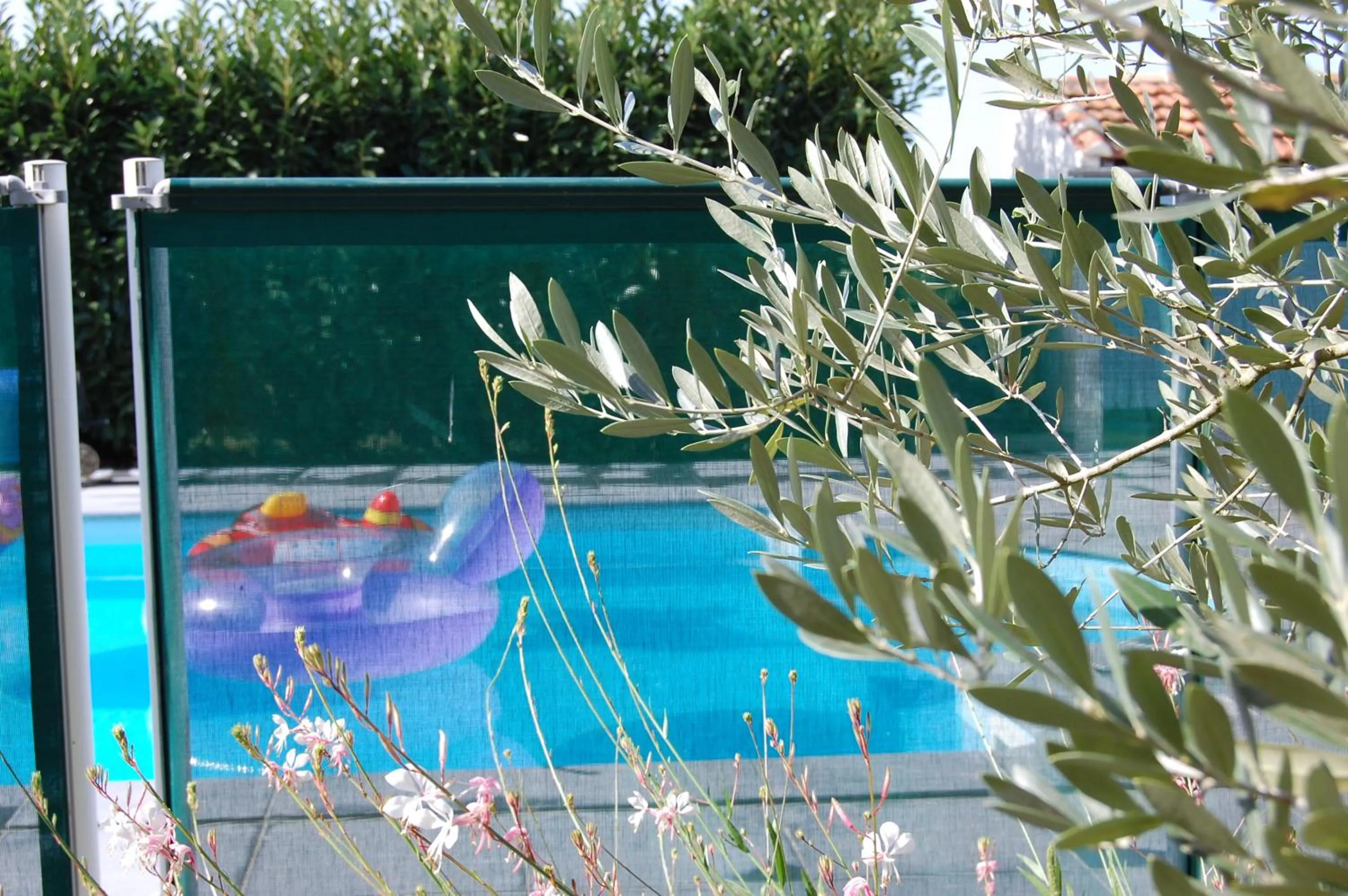 Swimming pool in Le Comptoir des Ecoliers