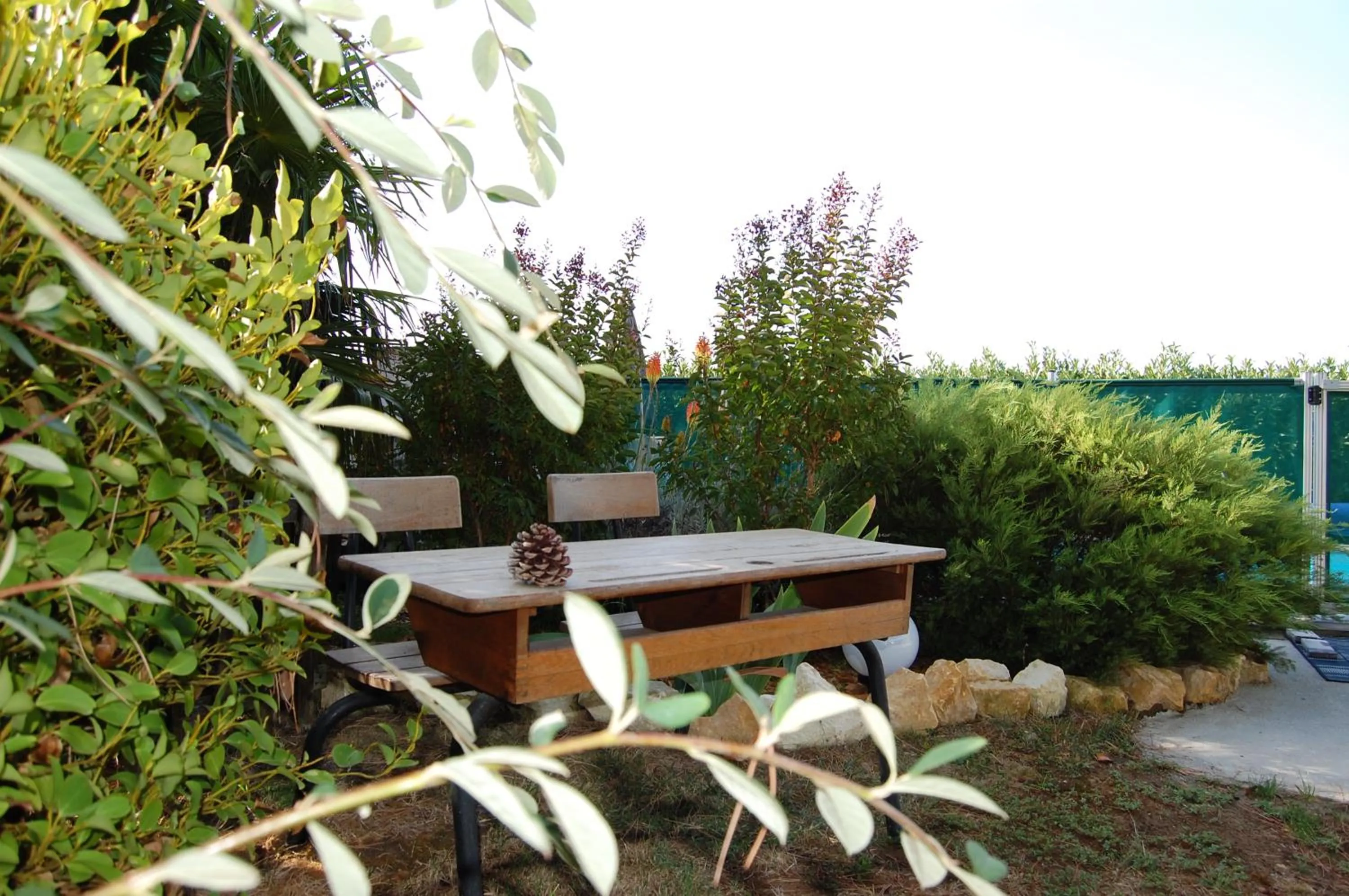 Garden in Le Comptoir des Ecoliers