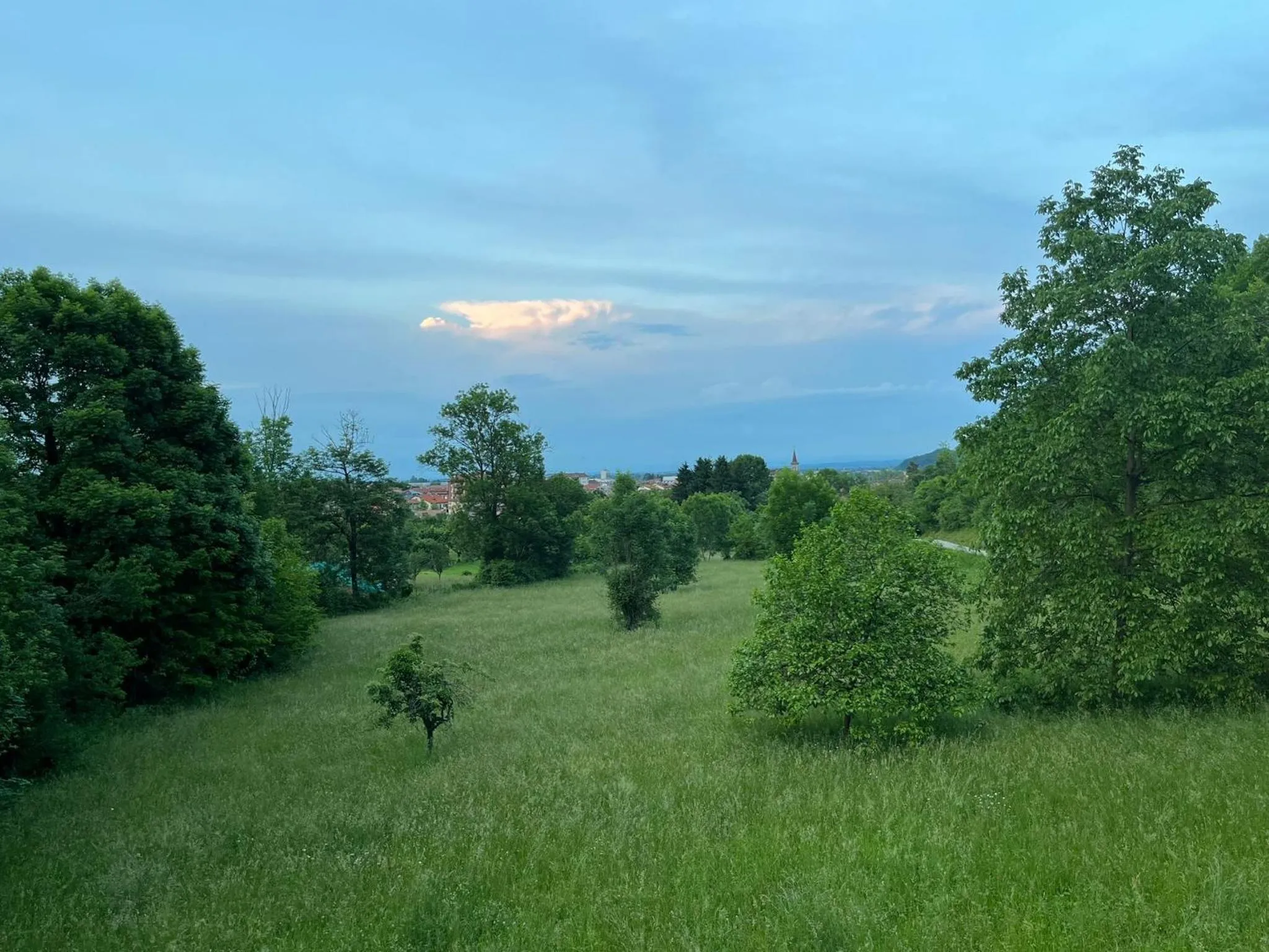 Spring in Il Bosco Incantato