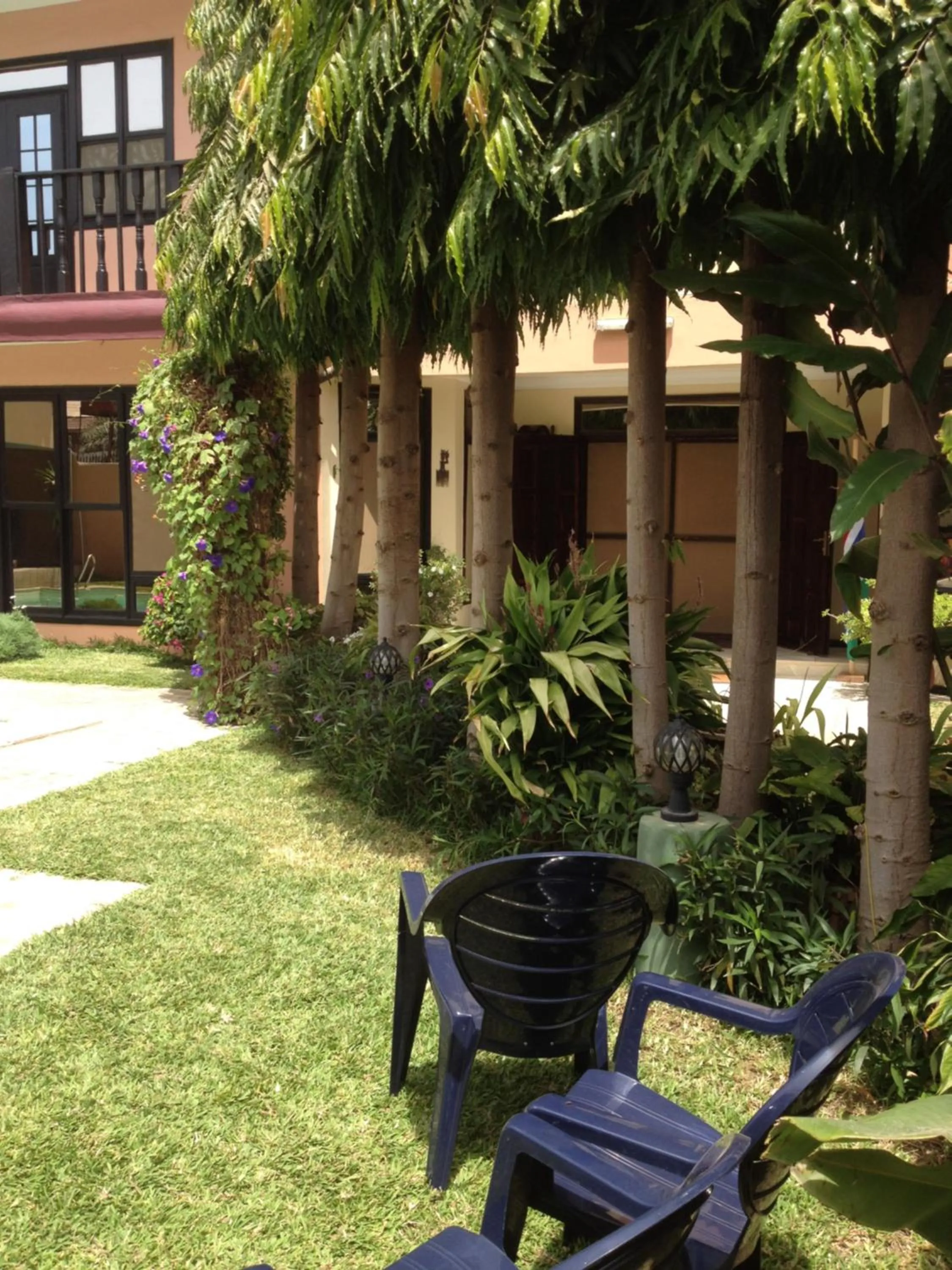 Natural landscape in Roc Heights