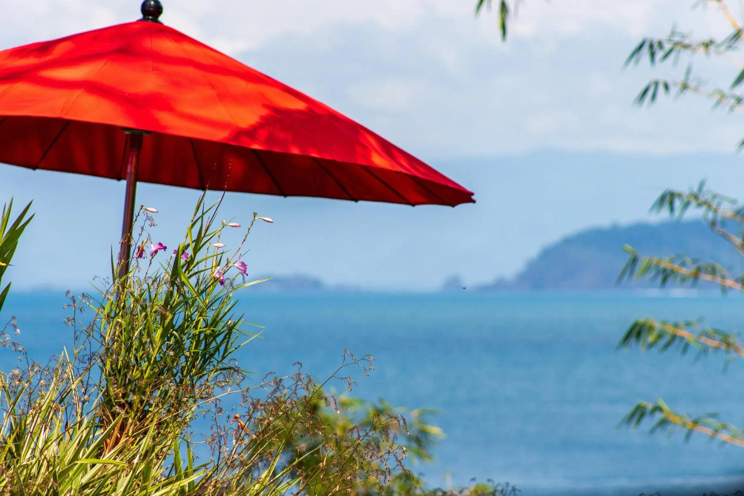 Garden in Las Caletas Lodge