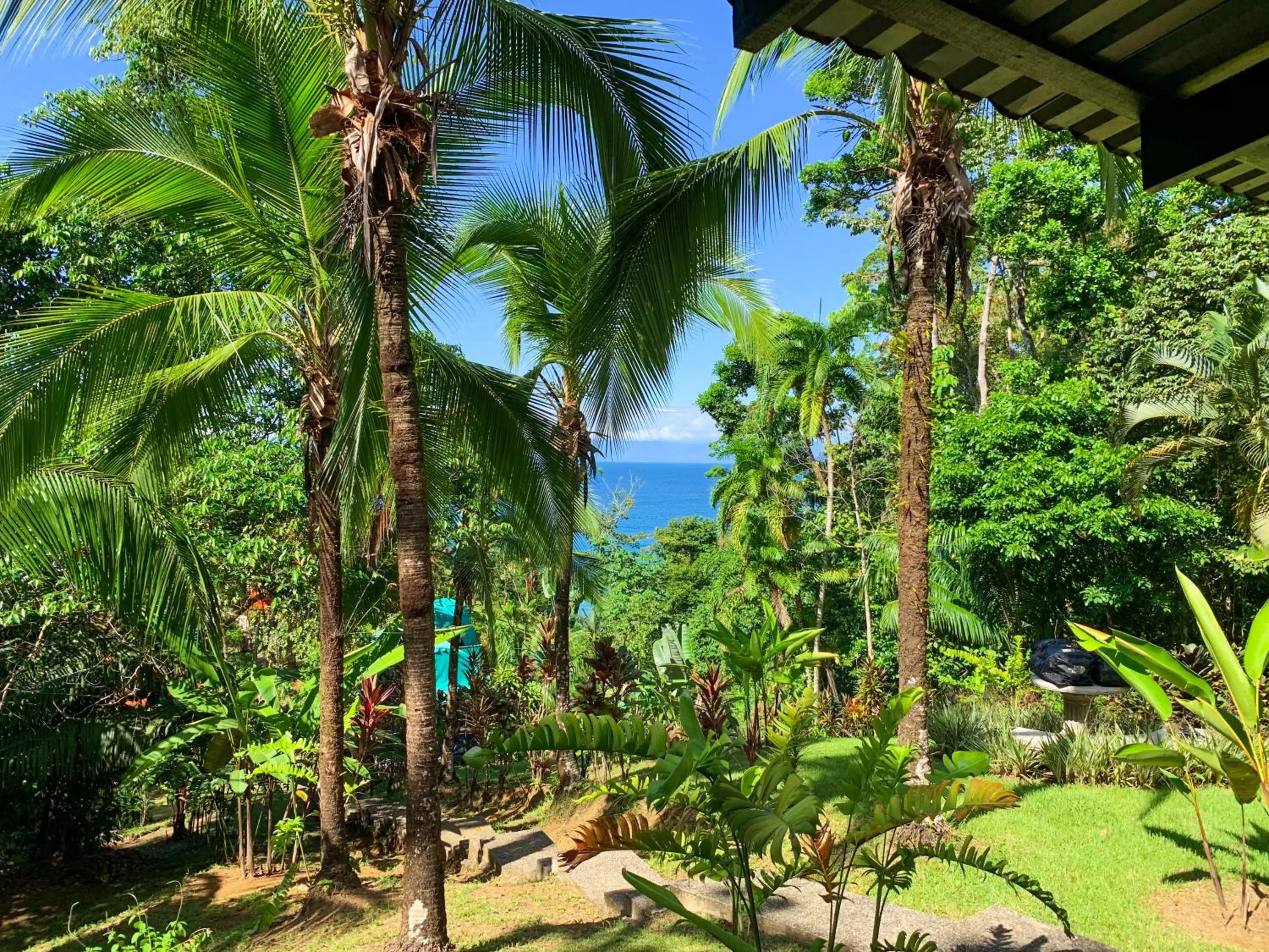 Garden in Las Caletas Lodge