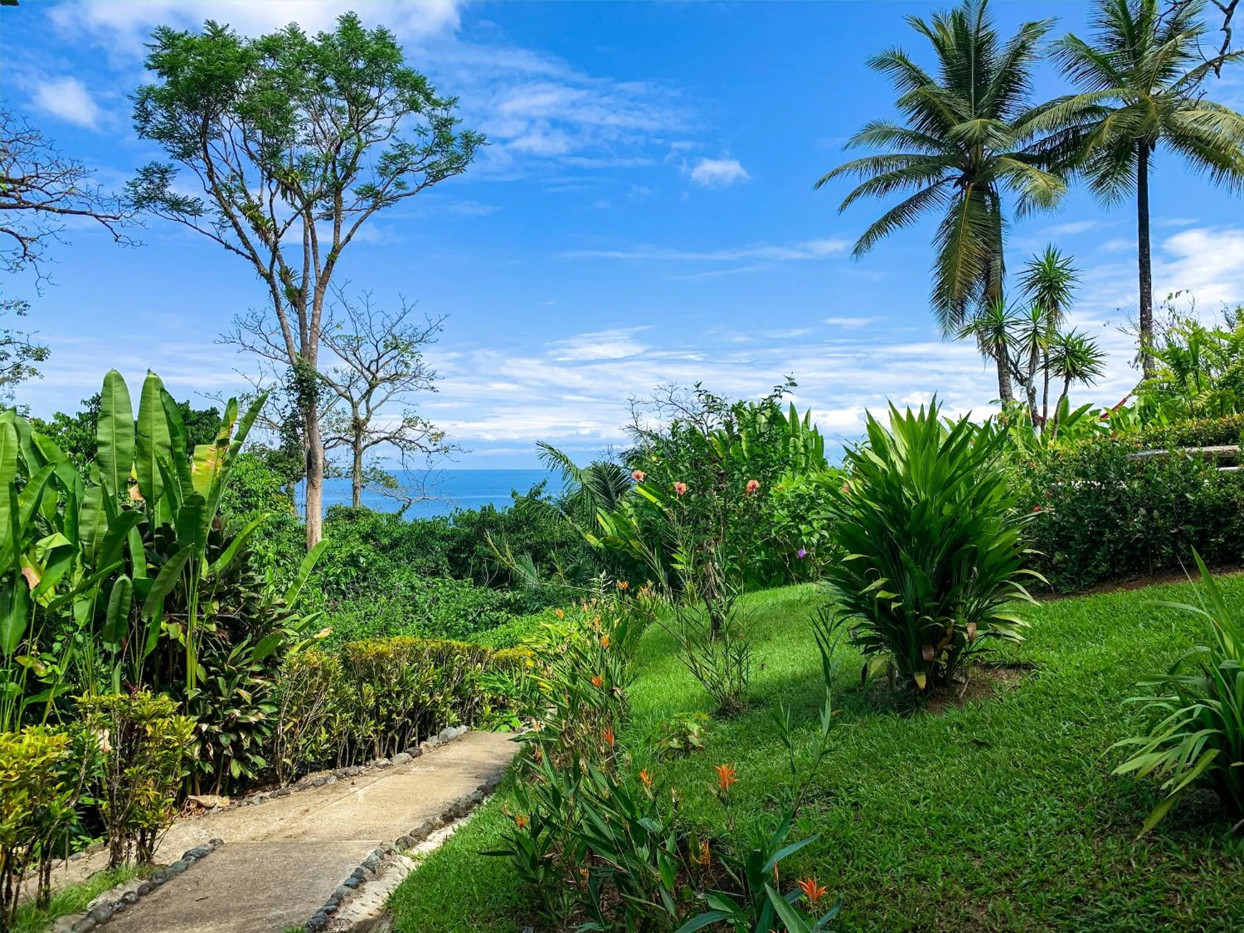 Garden in Las Caletas Lodge