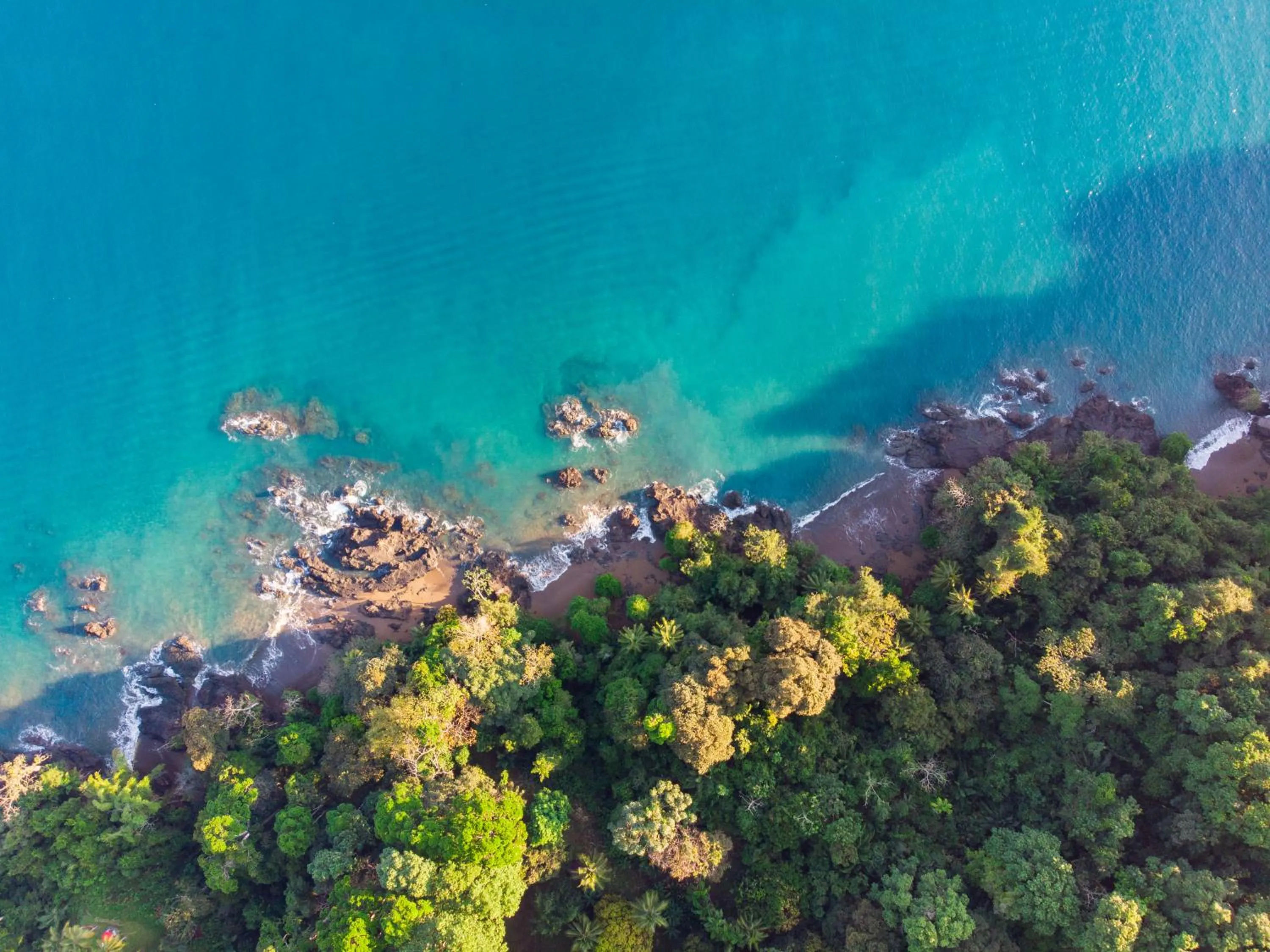 Bird's eye view in Las Caletas Lodge