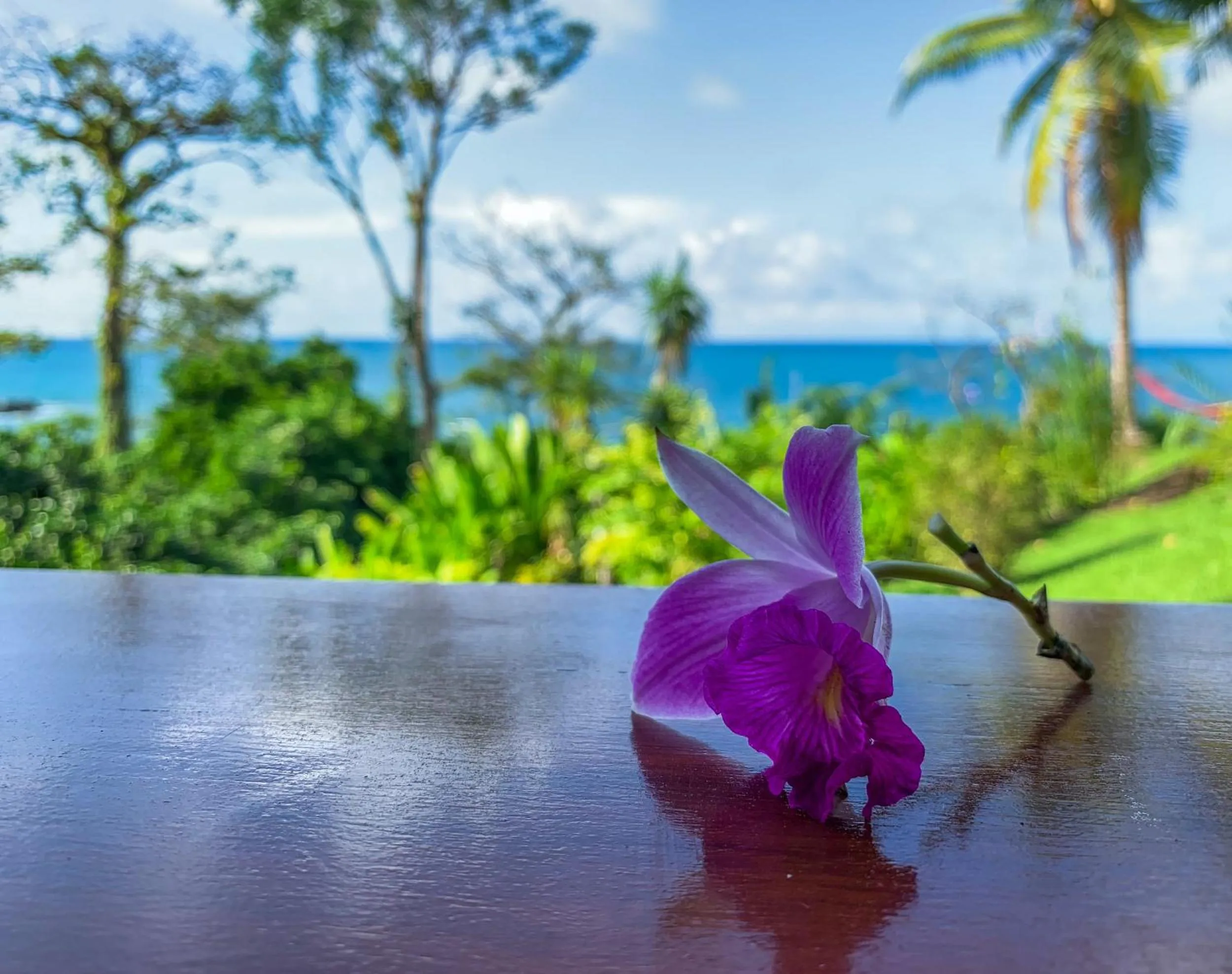 Balcony/Terrace in Las Caletas Lodge