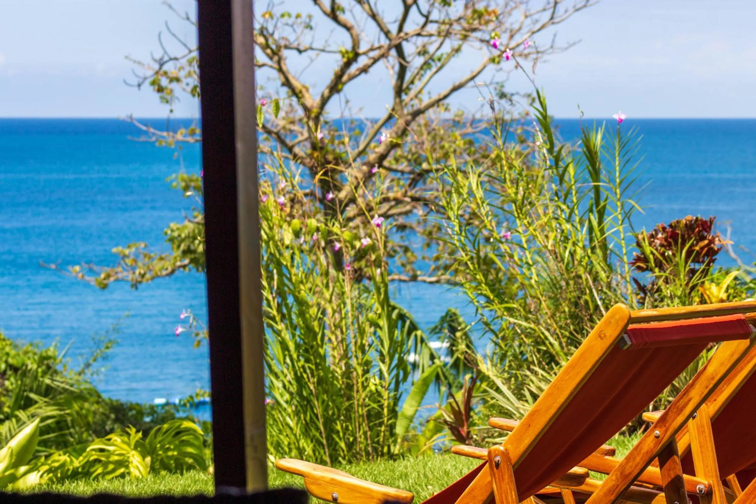 Garden in Las Caletas Lodge