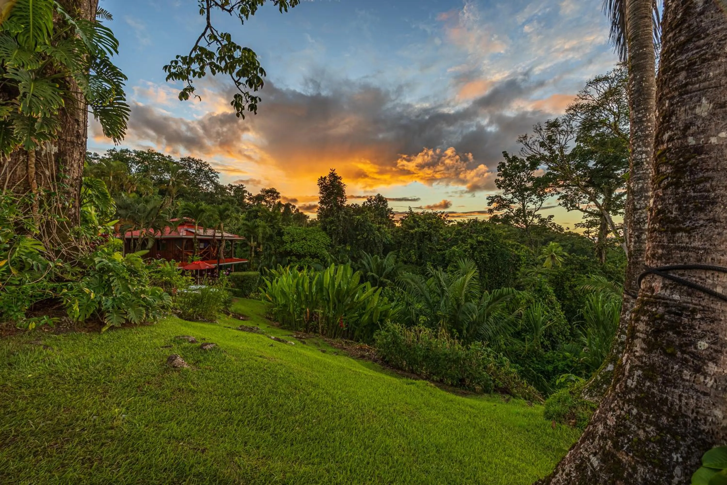 Natural landscape in Las Caletas Lodge